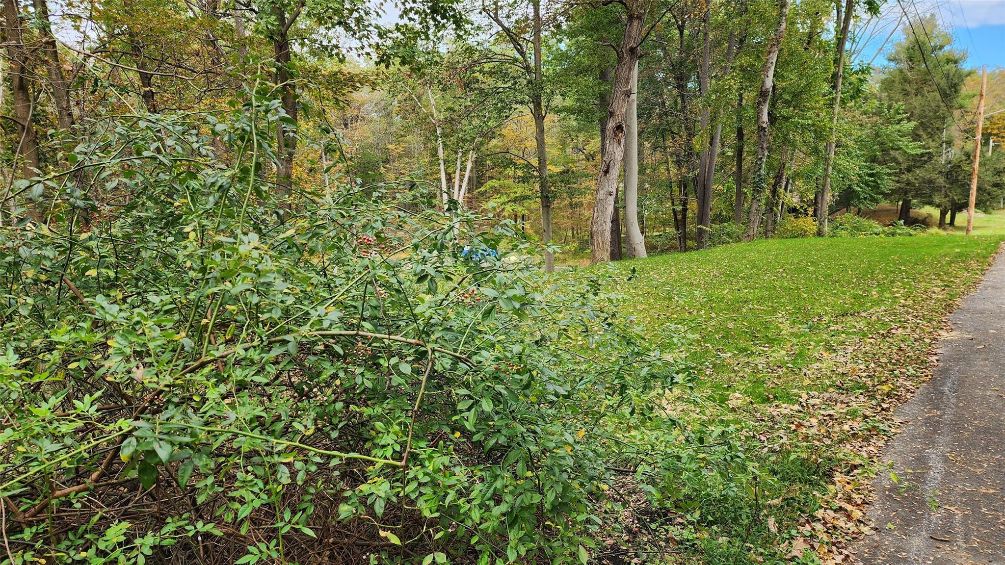 #6 photo, 11 Stoutenburgh Drive, Hyde Park , NY 12538