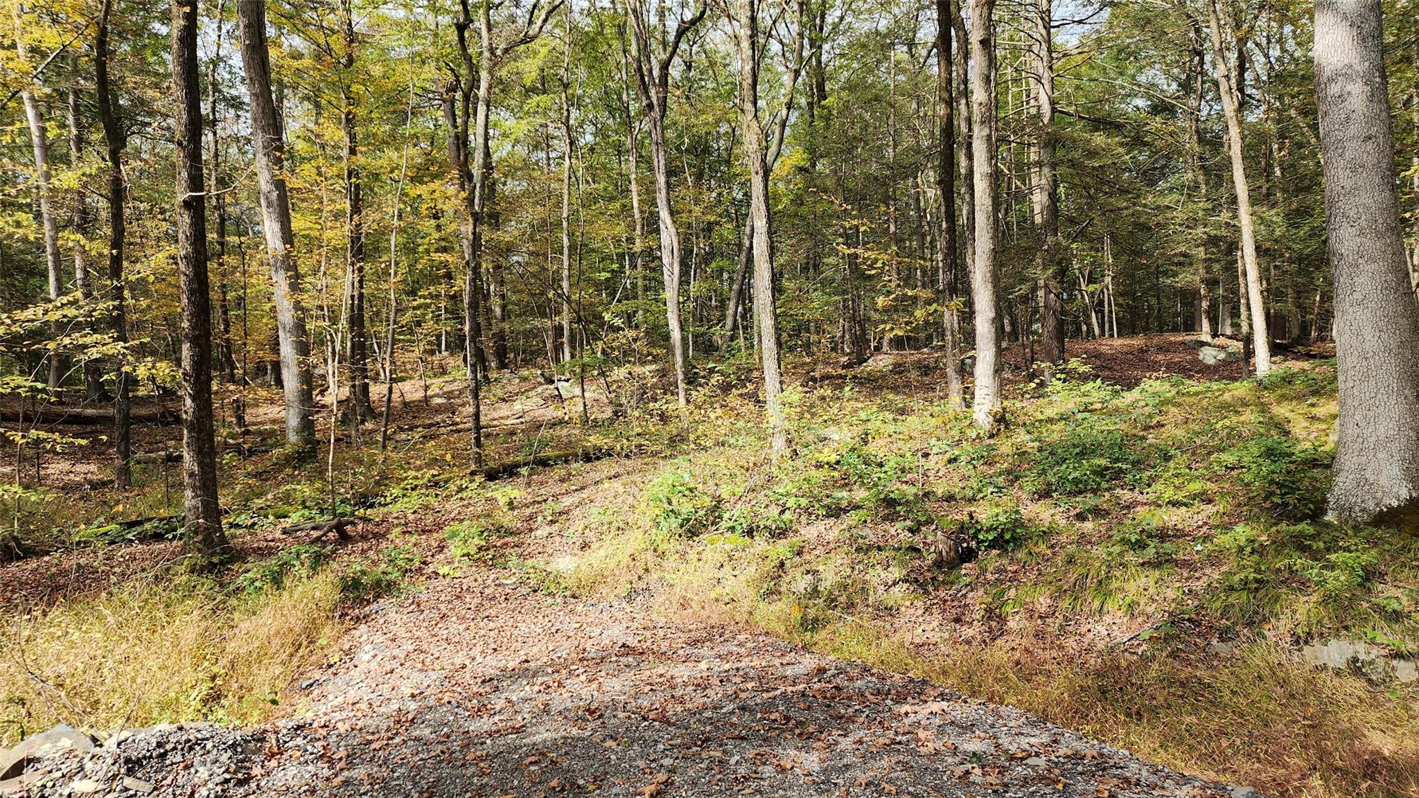 #8 photo, 11 Stoutenburgh Drive, Hyde Park , NY 12538