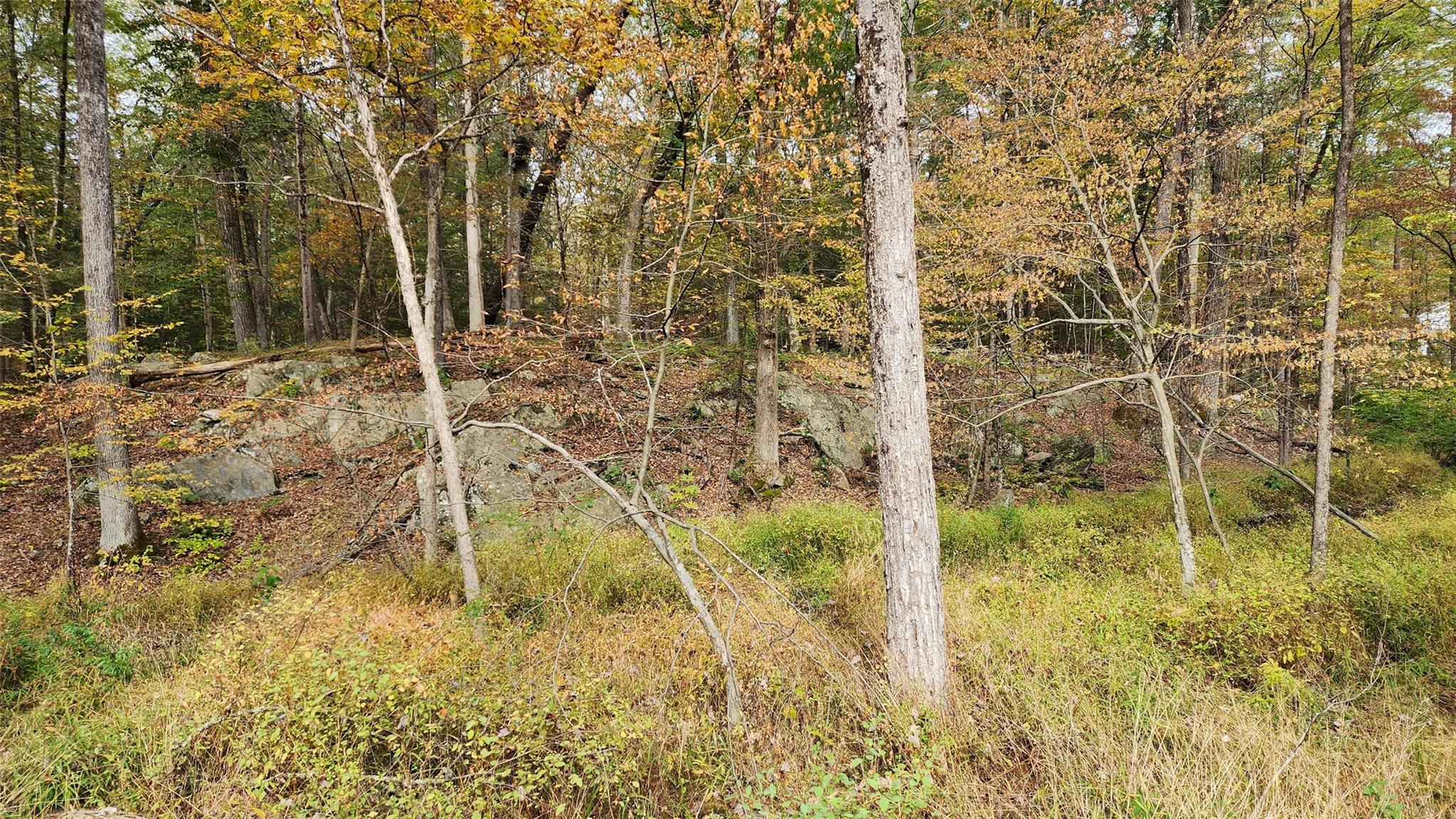 #9 photo, 11 Stoutenburgh Drive, Hyde Park , NY 12538