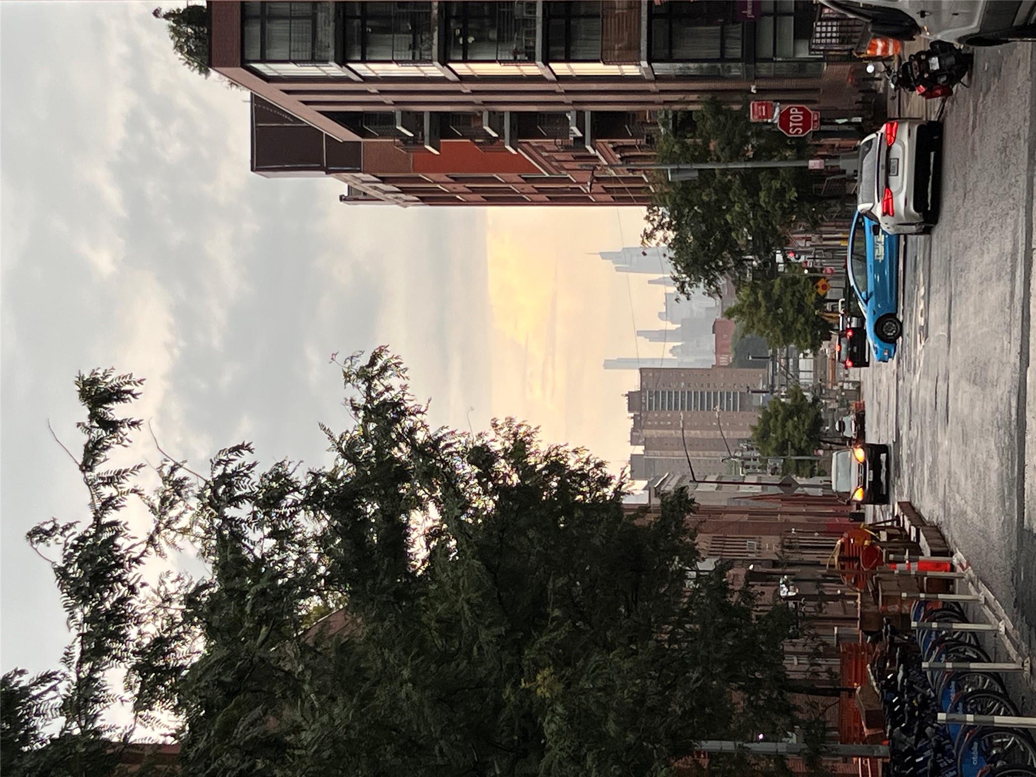 #11 photo, 47 Bridge Street, ブルックリン区 Brooklyn , NY 11201