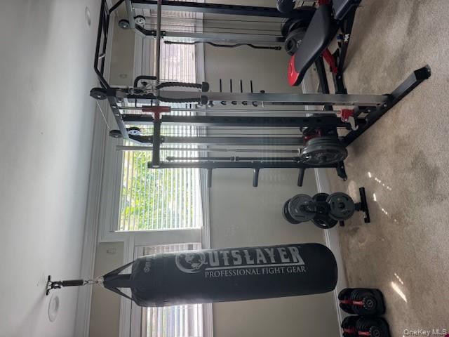 #14 photo, 42 Bulaire Road, ナッソー郡 East Rockaway , NY 11518