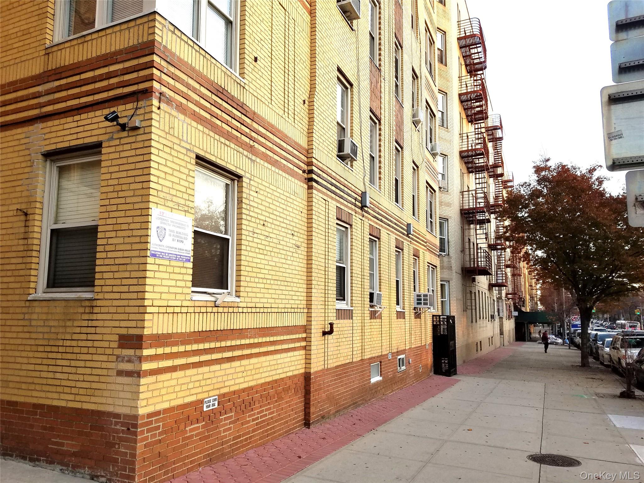 #4 photo, 2166 Bronx Park East Street, ブロンクス区 Bronx , NY 10462