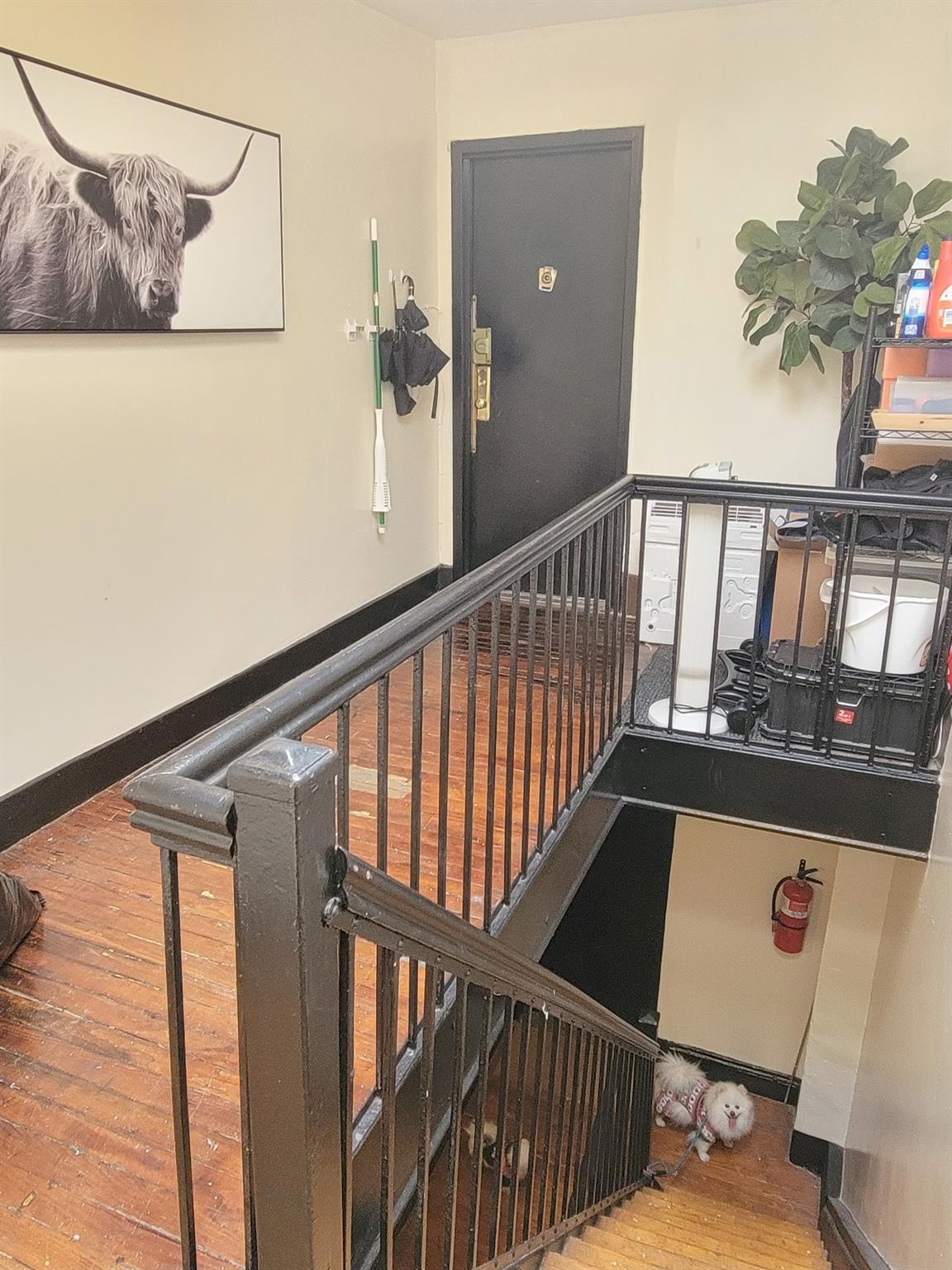 #12 photo, 145 Atlantic Avenue, Brooklyn , NY 11201