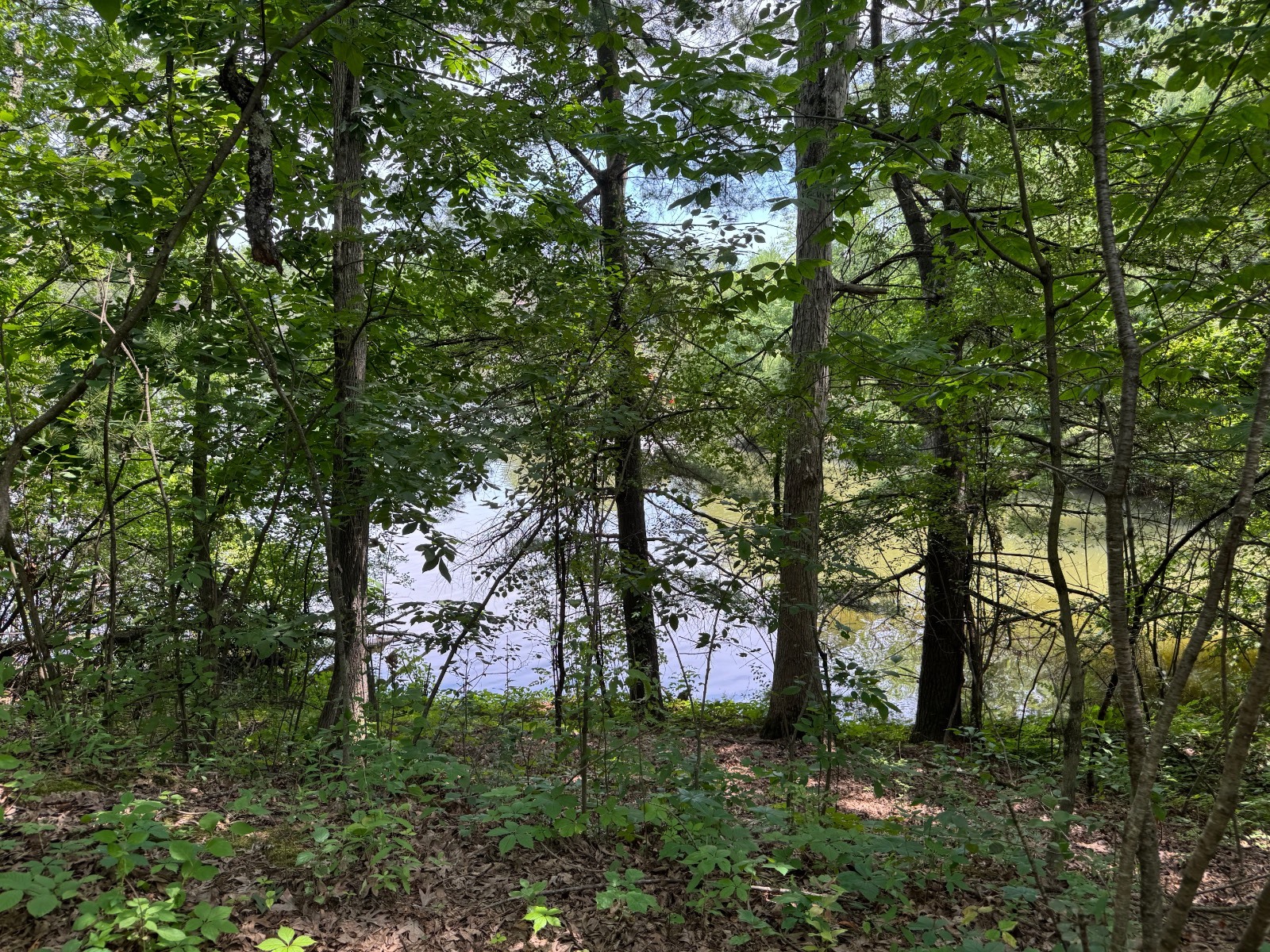 #11 photo, 34 Gunpowder Dr, Athens , NY 12015