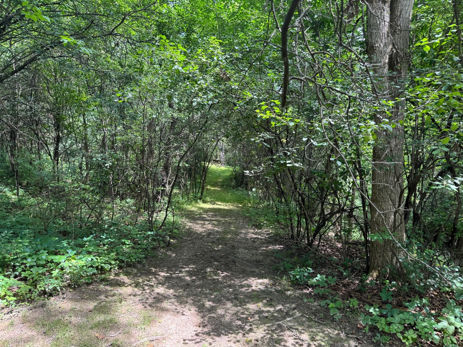 #12 photo, 34 Gunpowder Dr, Athens , NY 12015