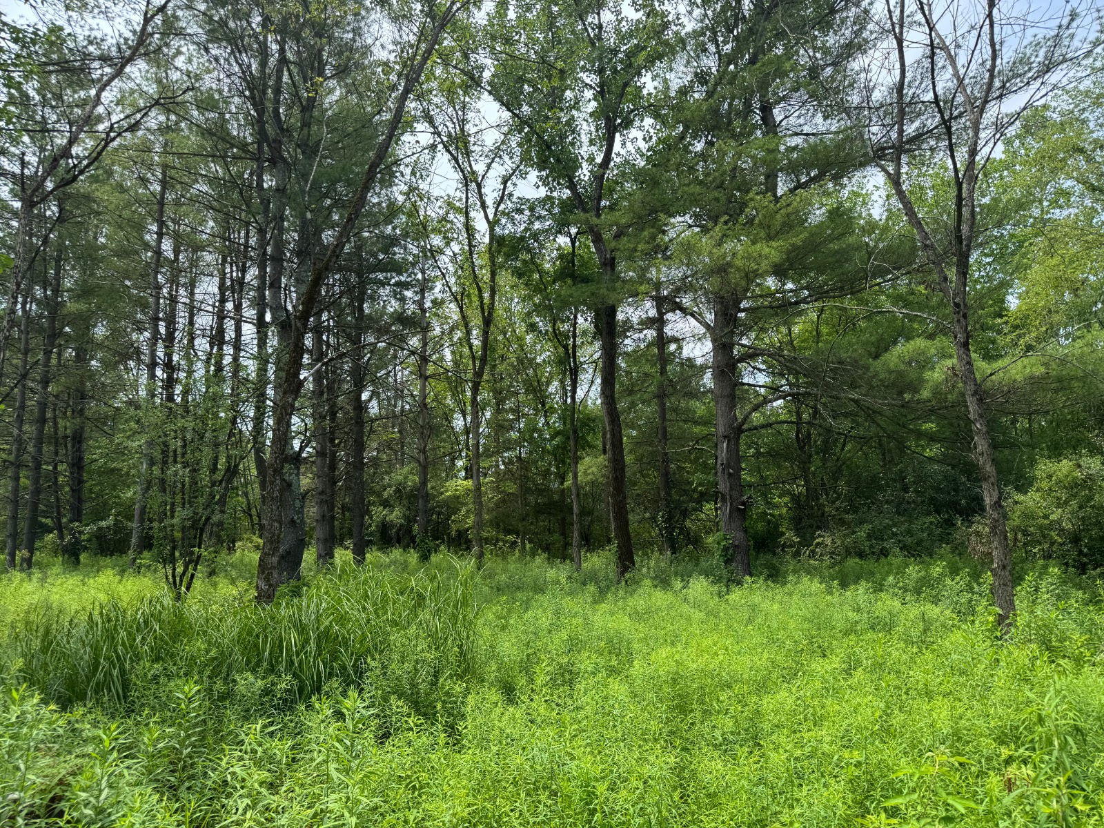 #14 photo, 34 Gunpowder Dr, Athens , NY 12015