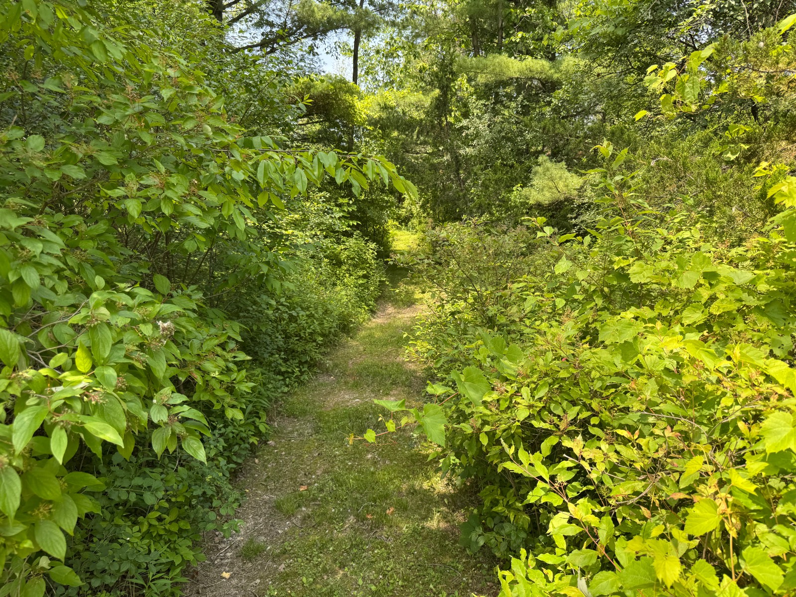 #15 photo, 34 Gunpowder Dr, Athens , NY 12015