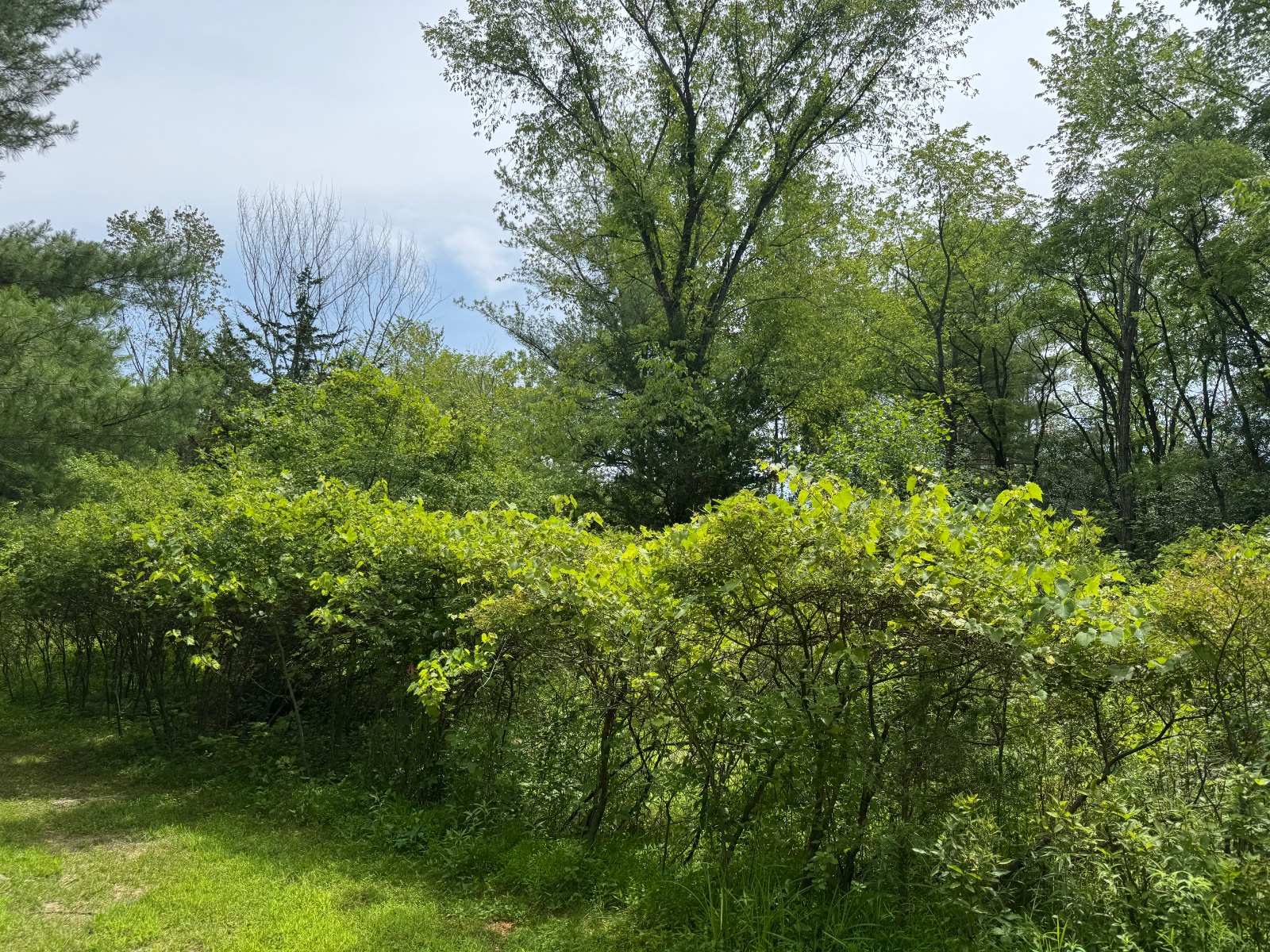 #2 photo, 34 Gunpowder Dr, Athens , NY 12015