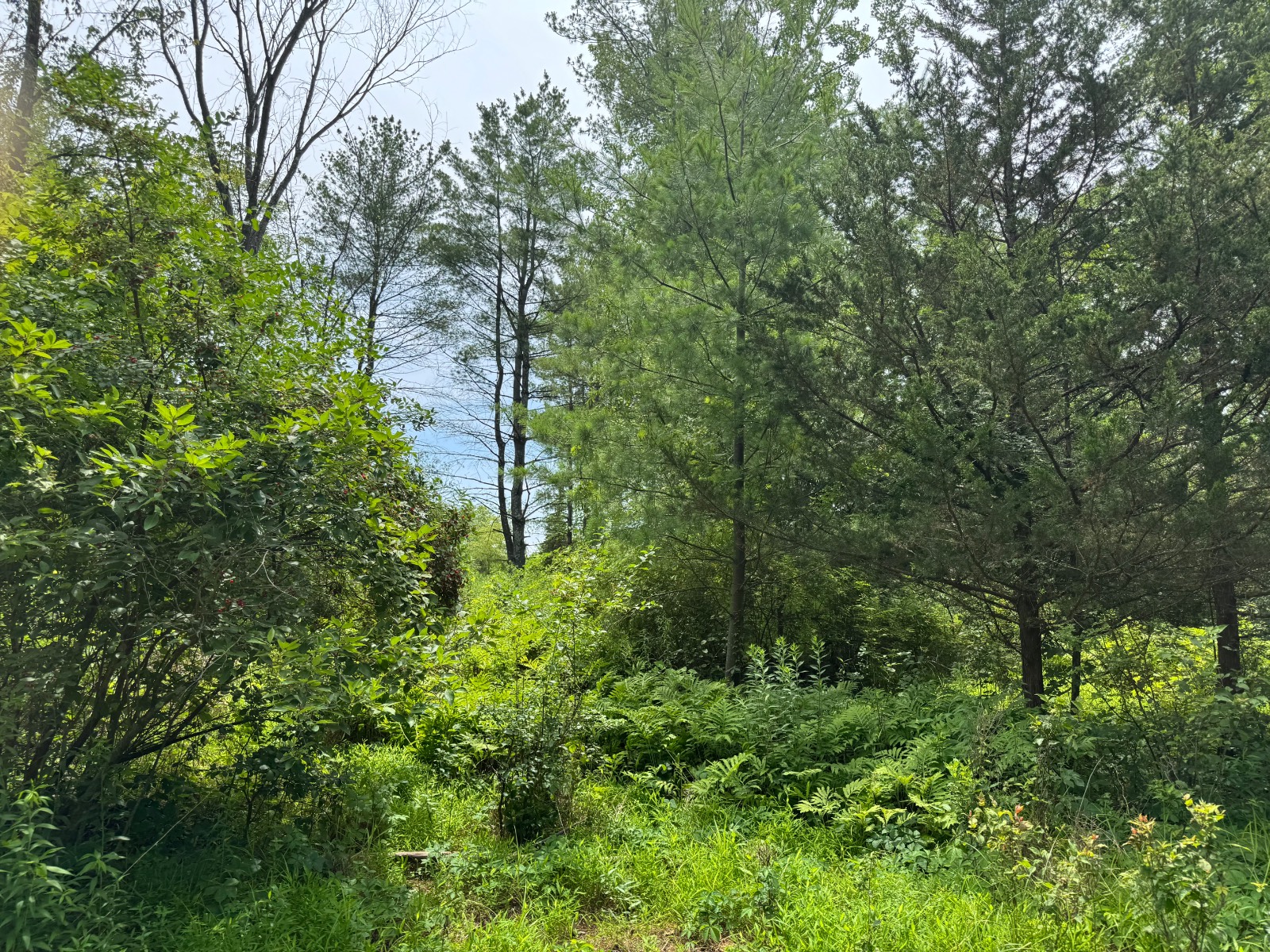 #8 photo, 34 Gunpowder Dr, Athens , NY 12015