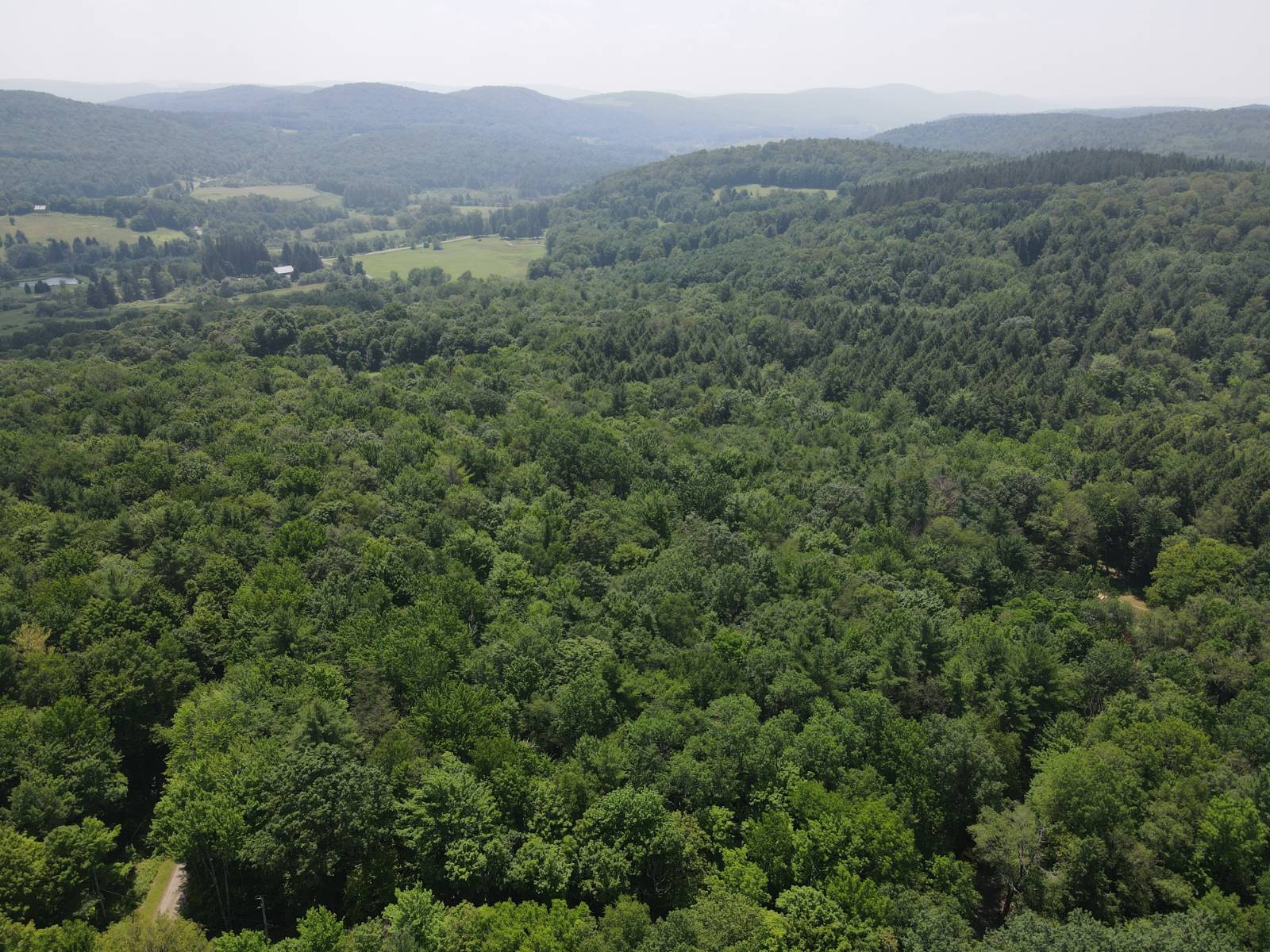 #1 photo, 0 Van Yahres Road, 紐約州 Cooperstown , NY 13326