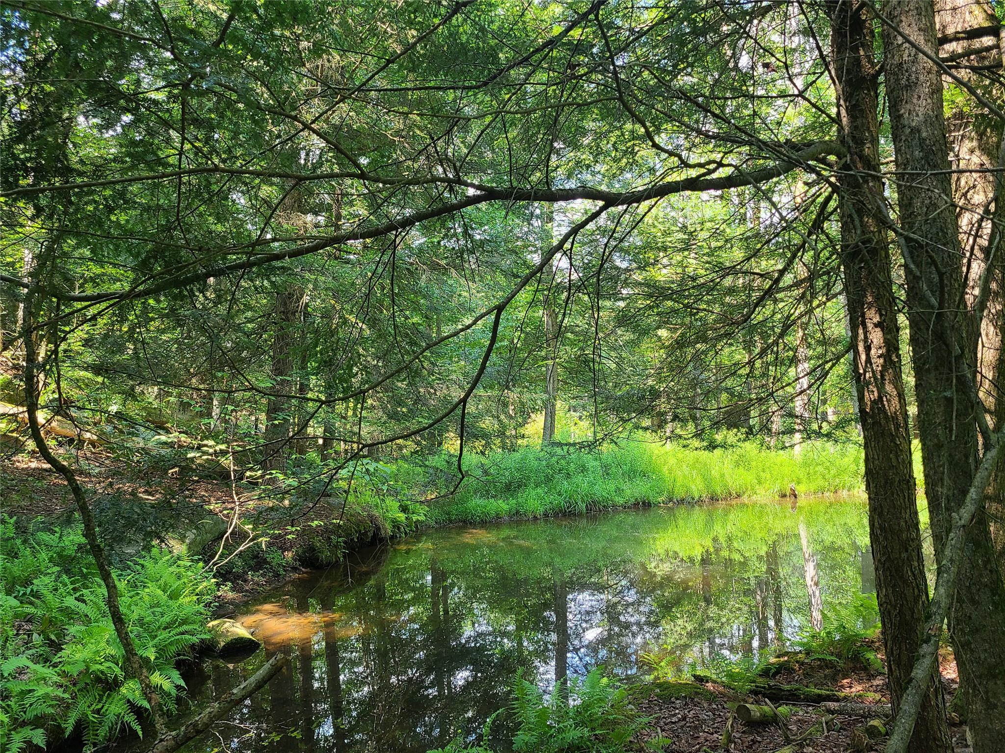 #11 photo, 28 Martin Lane, Mongaup Valley , NY 12762