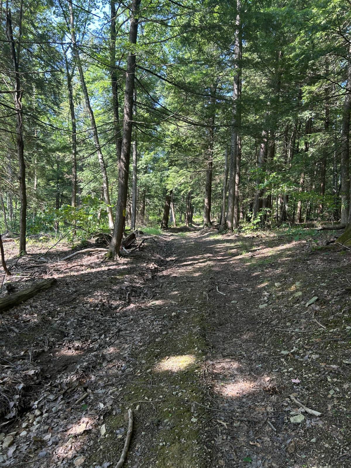 #10 photo, 141 Cross Rd, Maryland , NY 12116