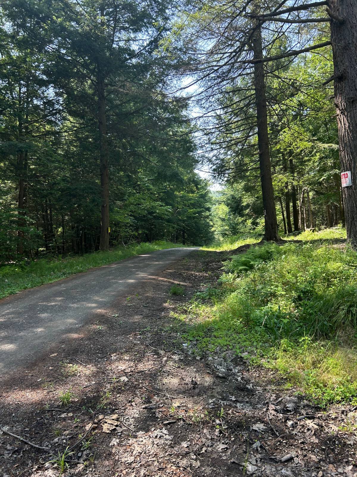 #2 photo, 141 Cross Rd, Maryland , NY 12116