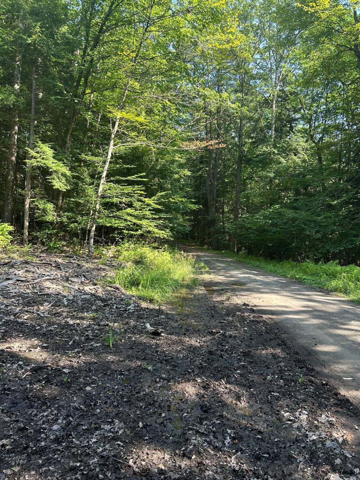 #3 photo, 141 Cross Rd, Maryland , NY 12116