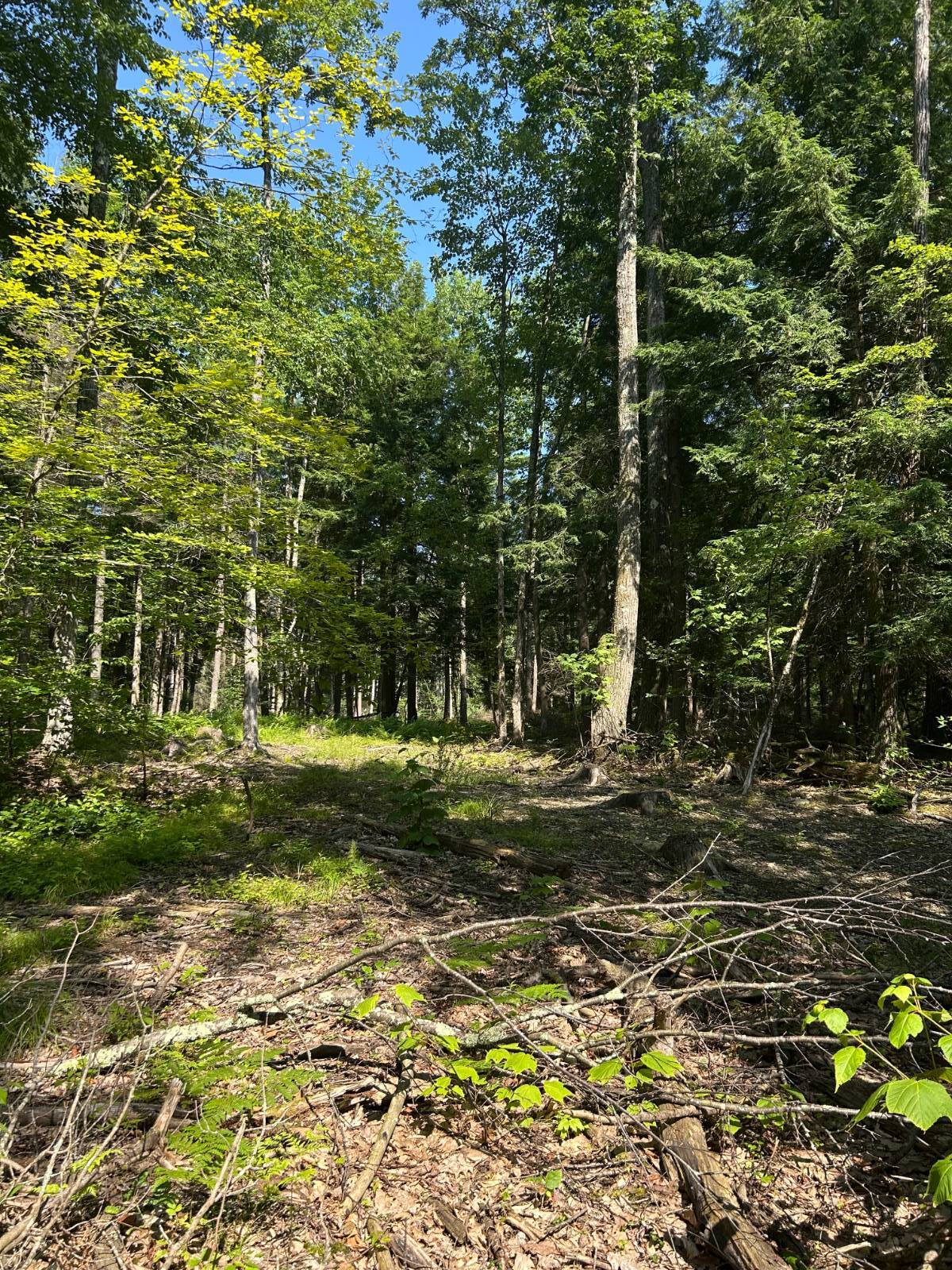 #4 photo, 141 Cross Rd, Maryland , NY 12116