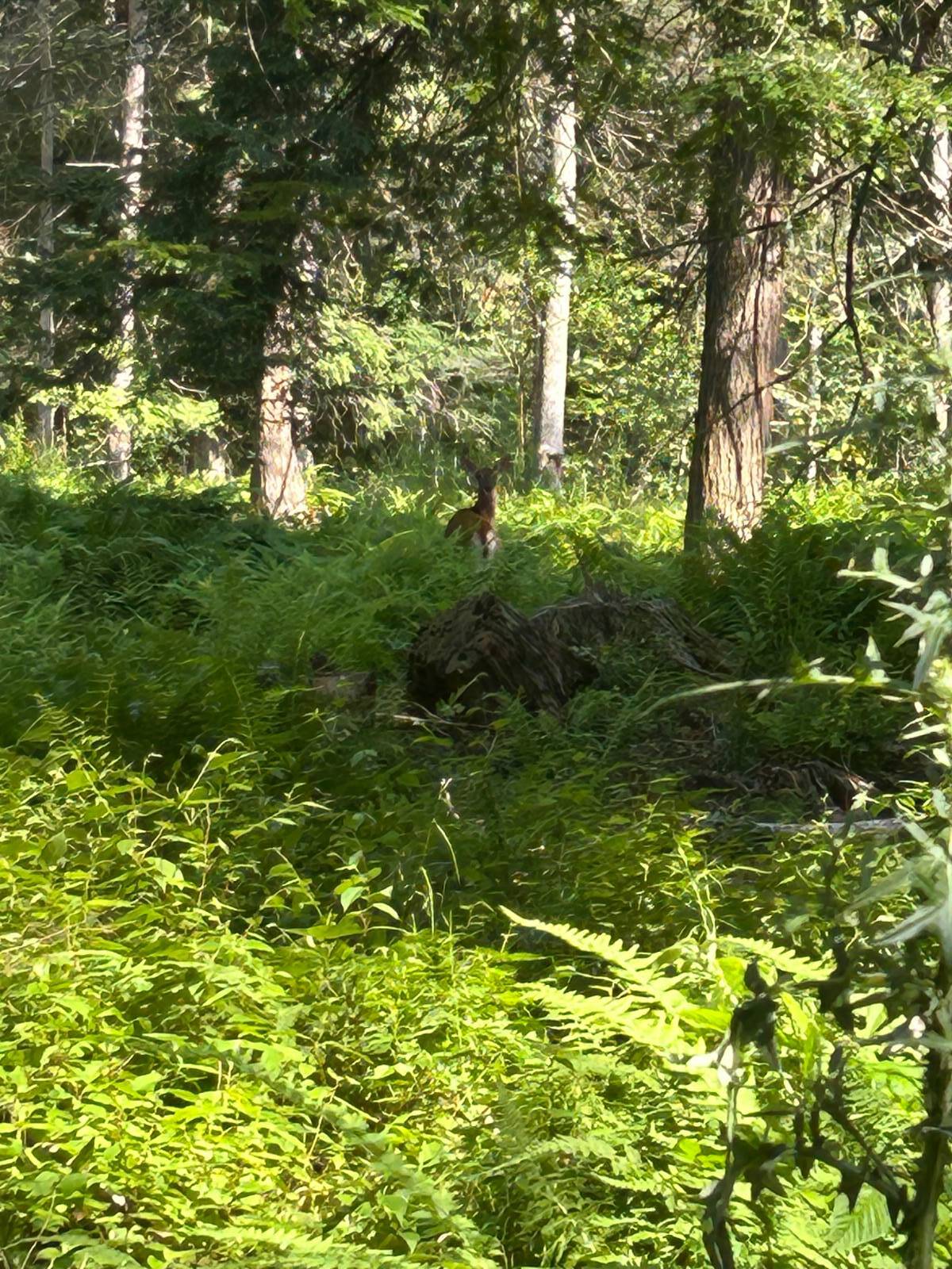 #8 photo, 141 Cross Rd, Maryland , NY 12116