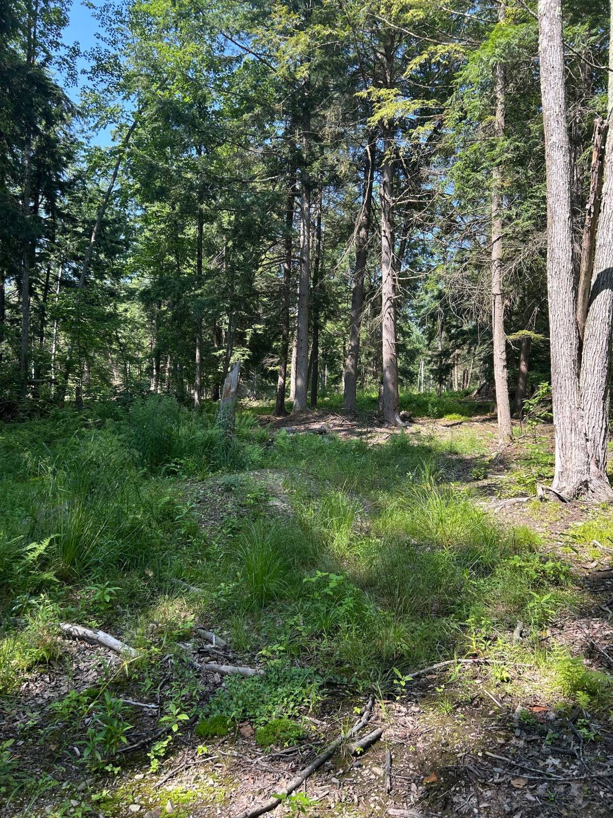 #9 photo, 141 Cross Rd, Maryland , NY 12116