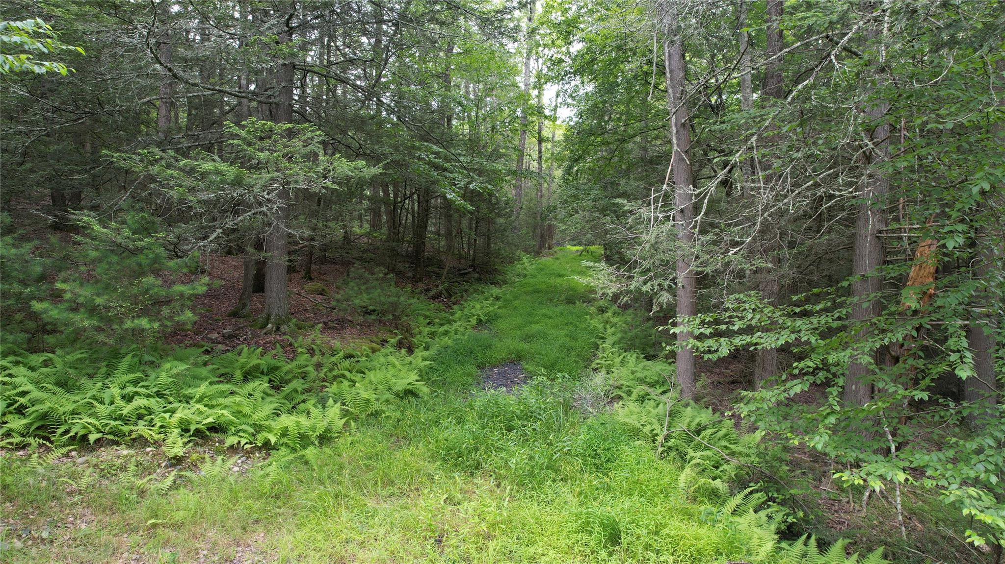 #1 photo, 141 Brandt Road, Cuddebackville , NY 12729