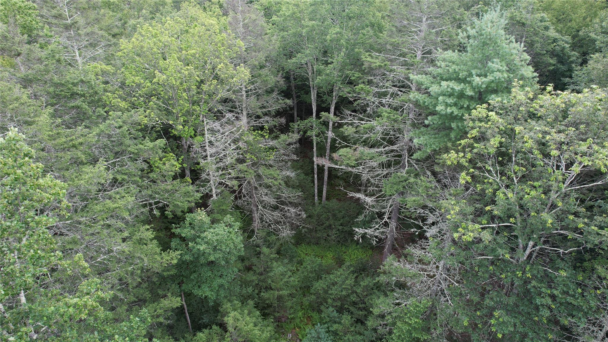 #2 photo, 141 Brandt Road, Cuddebackville , NY 12729