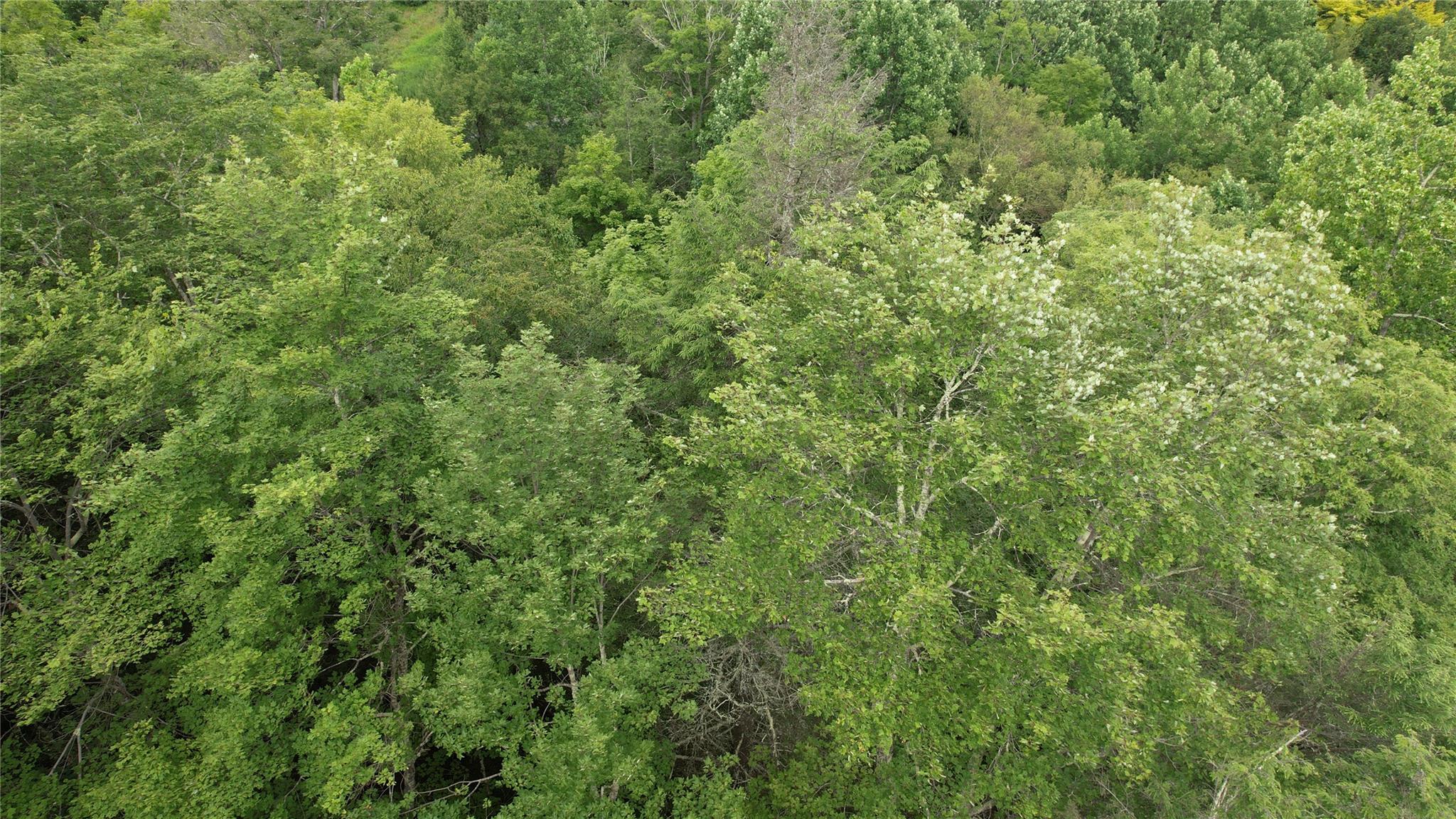 #4 photo, 141 Brandt Road, Cuddebackville , NY 12729