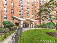 #19 photo, 814 Tilden Street, 브롱크스 Bronx , NY 10467