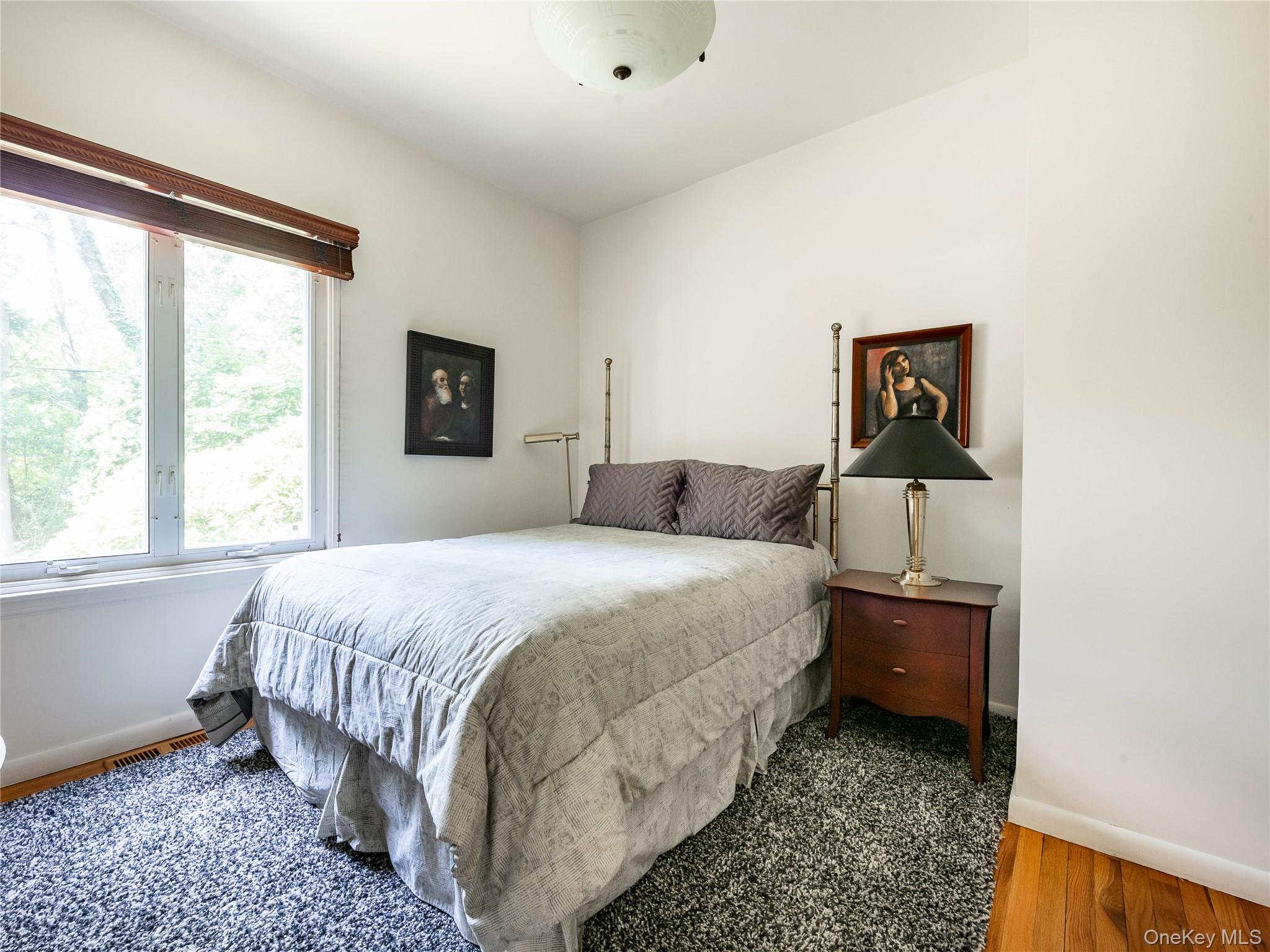 #20 photo, 3 West Drive, ナッソー郡 Manhasset , NY 11030