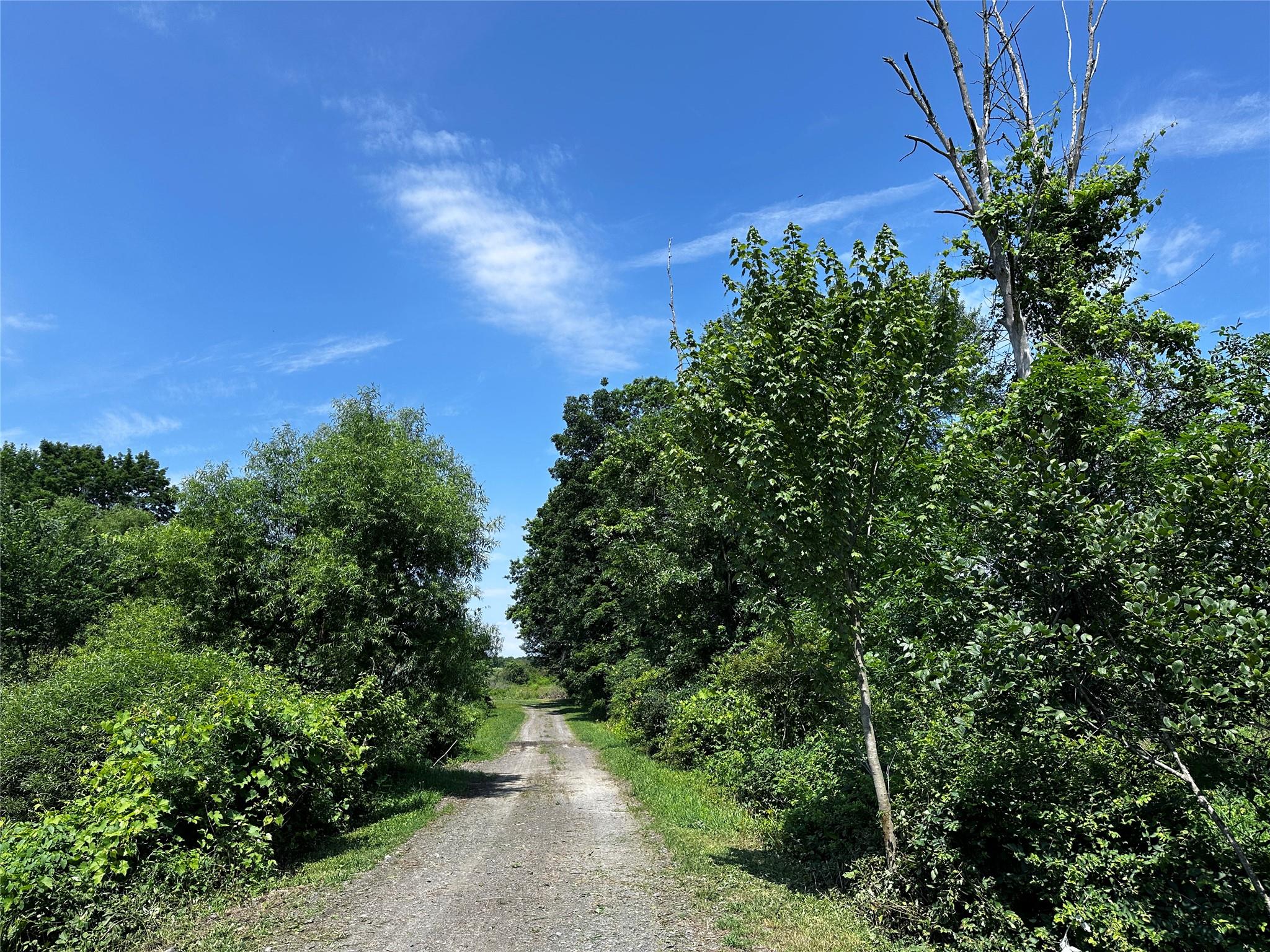 #19 photo, Route 32 S, Gardiner , NY 