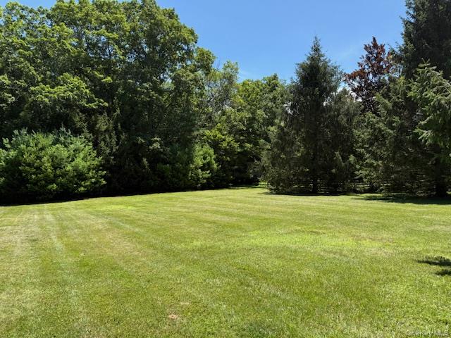 #15 photo, 13 Corkscrew Road, 纽约州 Barryville , NY 12719