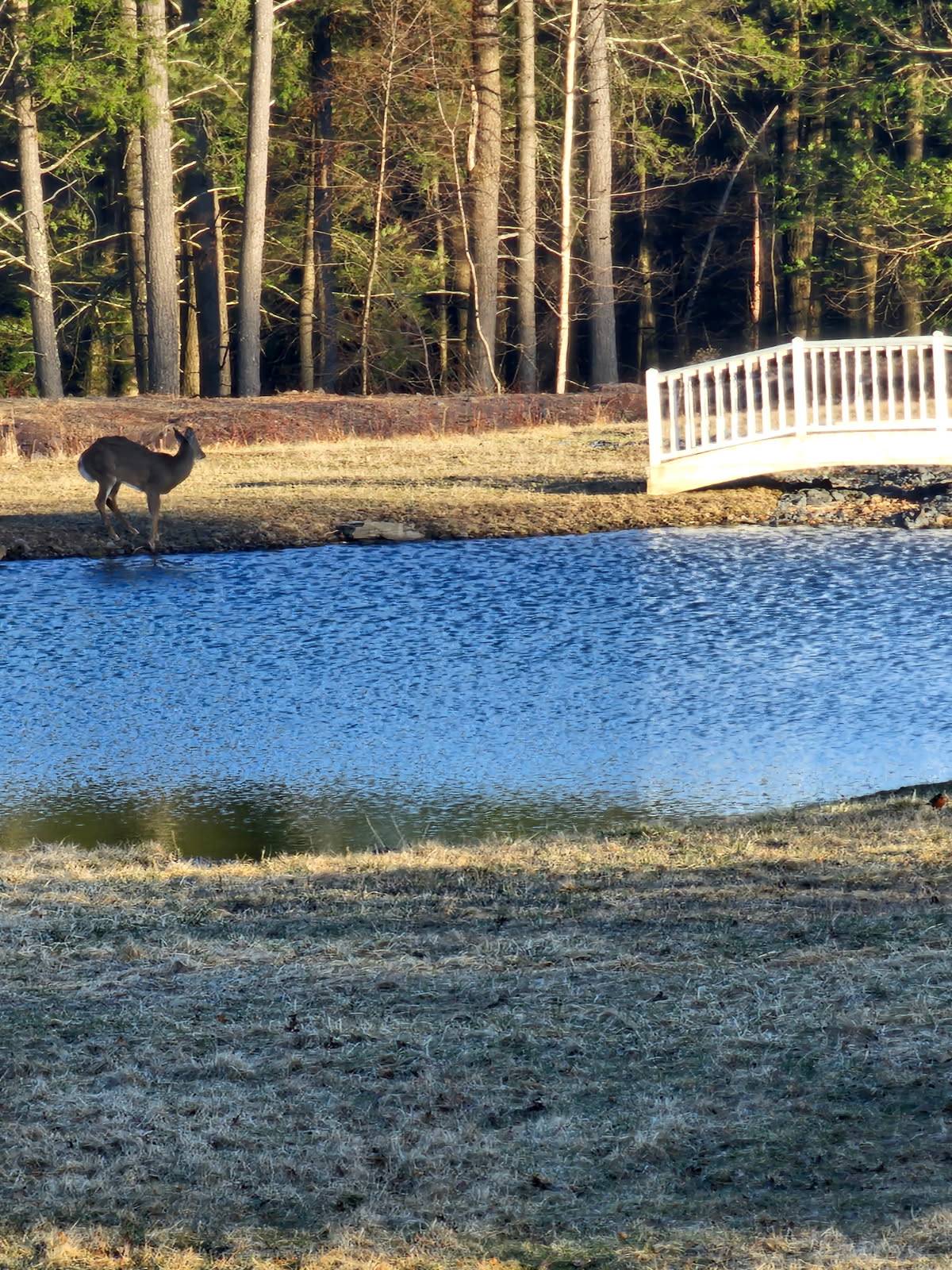 #28 photo, 89 Zinno Rd, Ashland , NY 12407