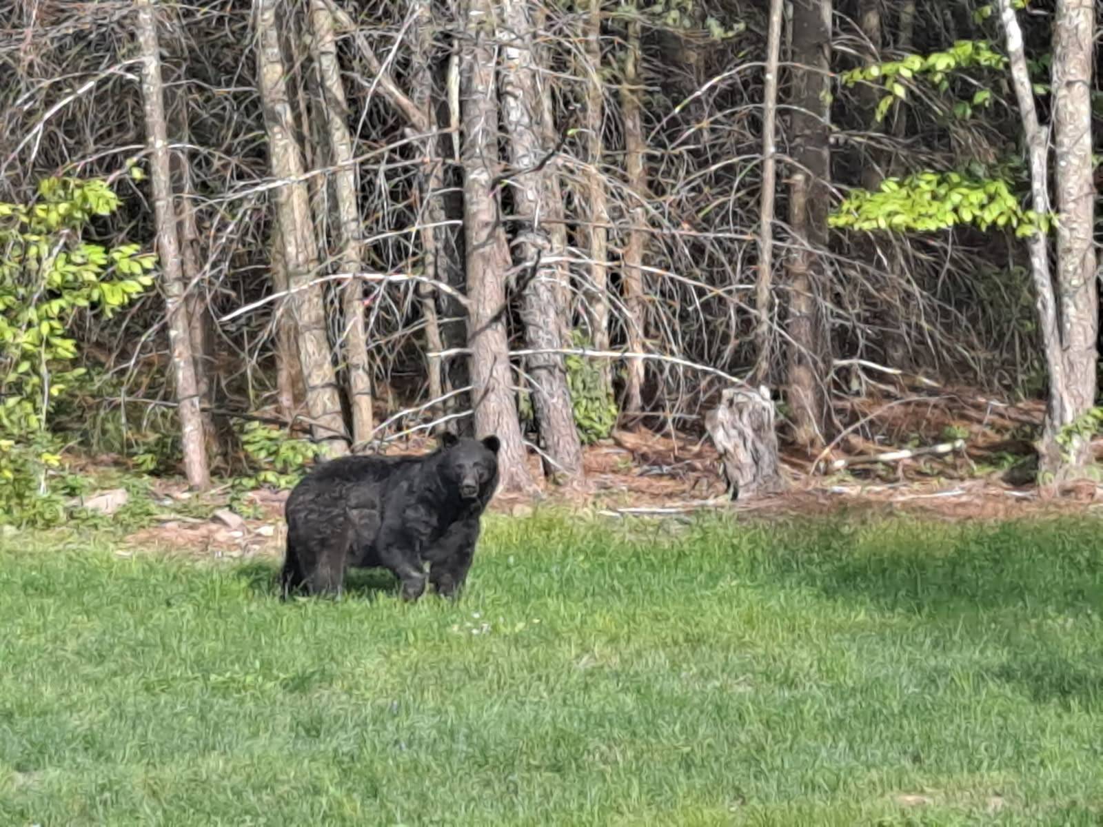 #30 photo, 89 Zinno Rd, Ashland , NY 12407