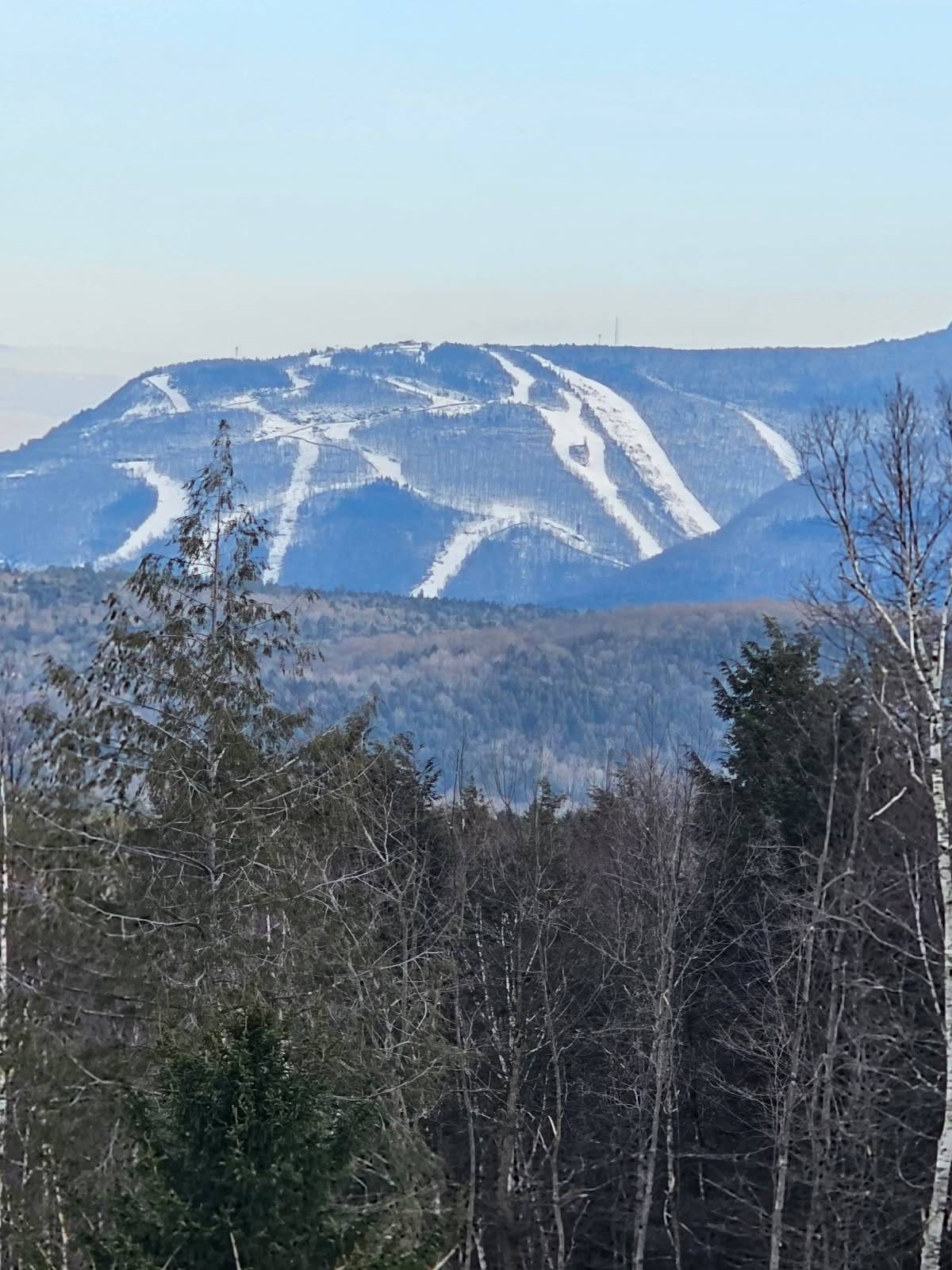 #31 photo, 89 Zinno Rd, Ashland , NY 12407