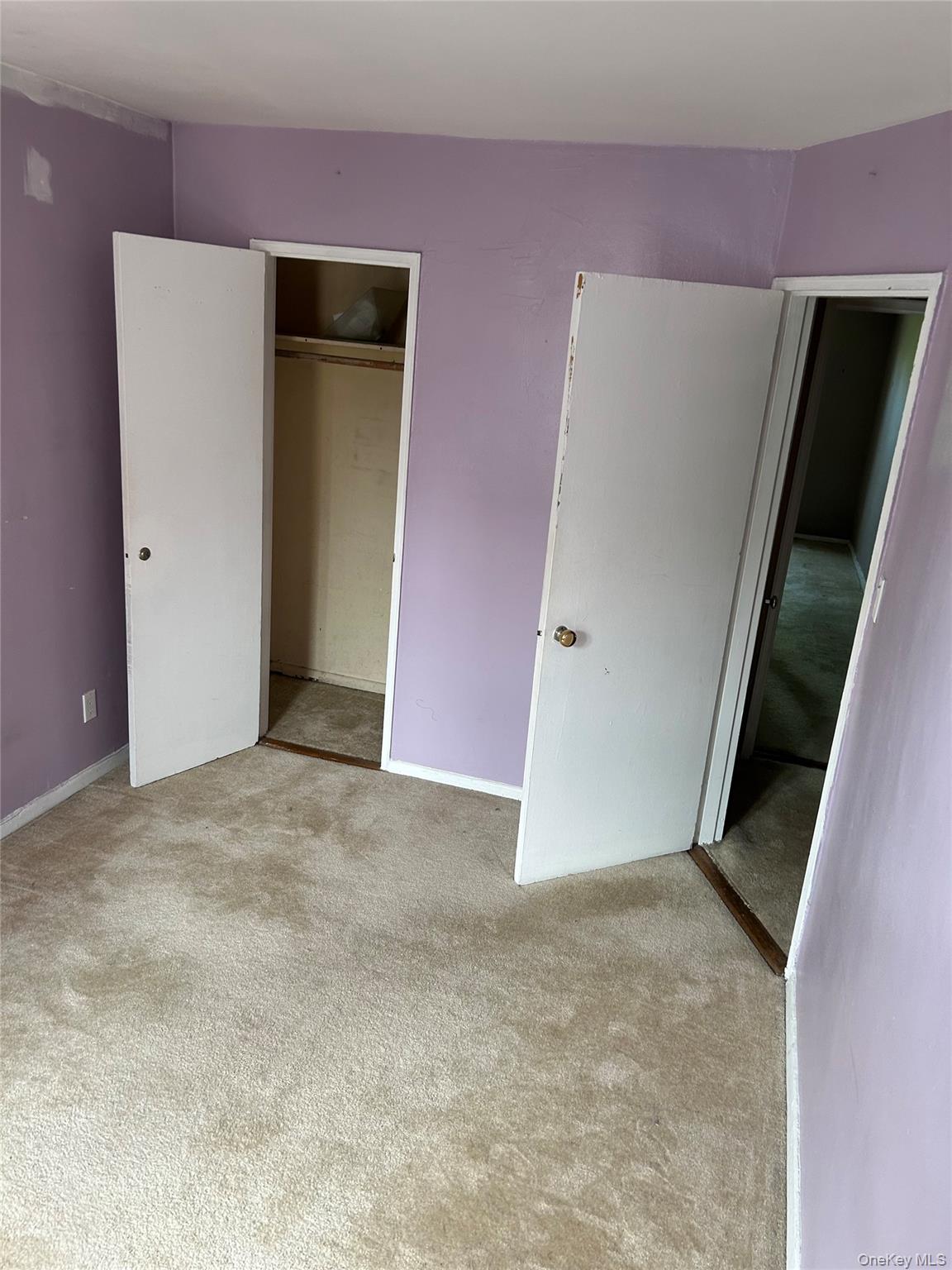 #8 photo, 4265 Webster Avenue, 布朗士 Bronx , NY 10470