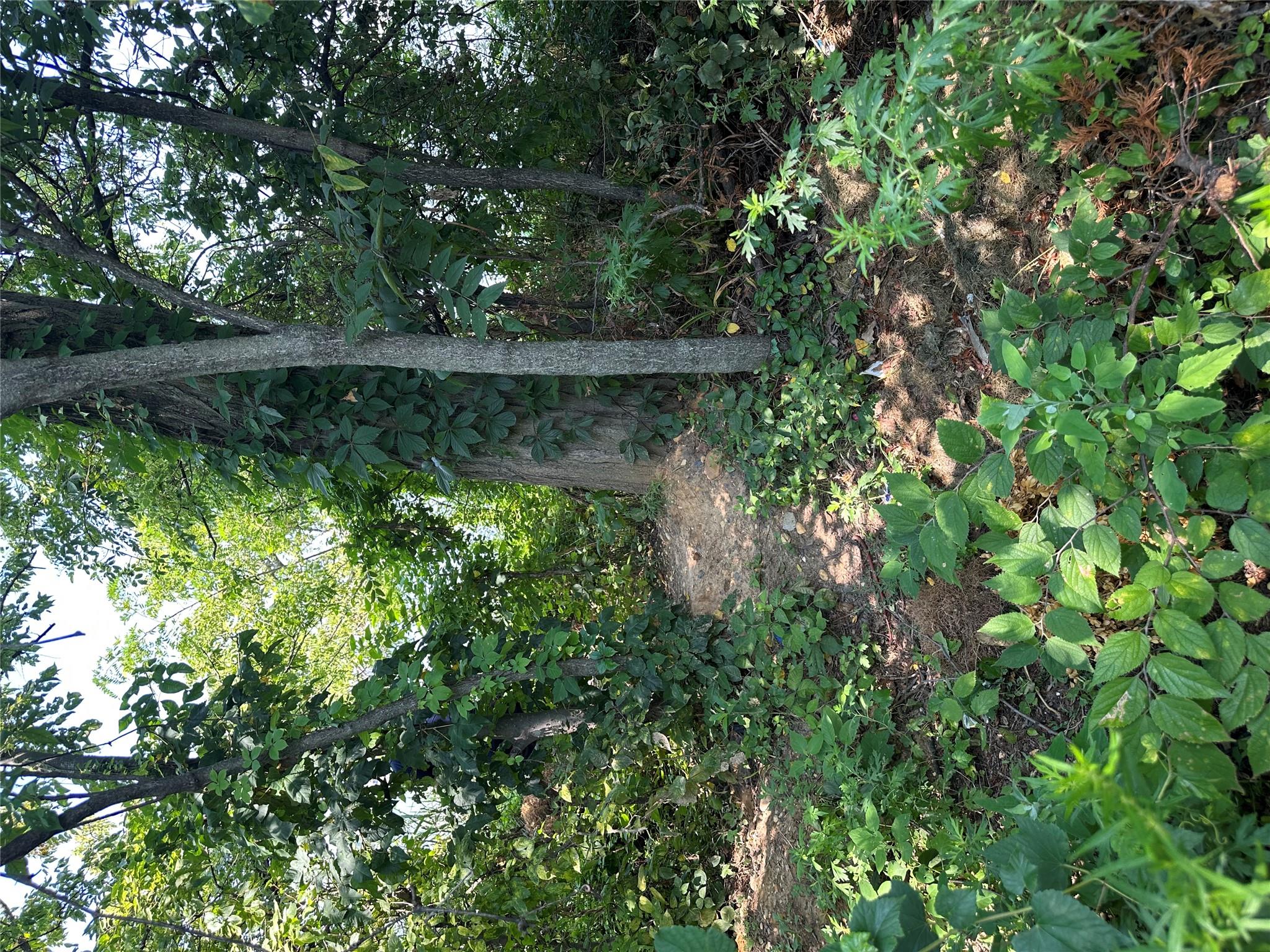 #4 photo, 397 Ellis Street, スタテンアイランド Staten Island , NY 