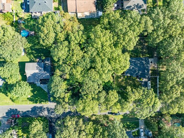 #1 photo, Neptune Avenue, 東長島 Mastic , NY 11950