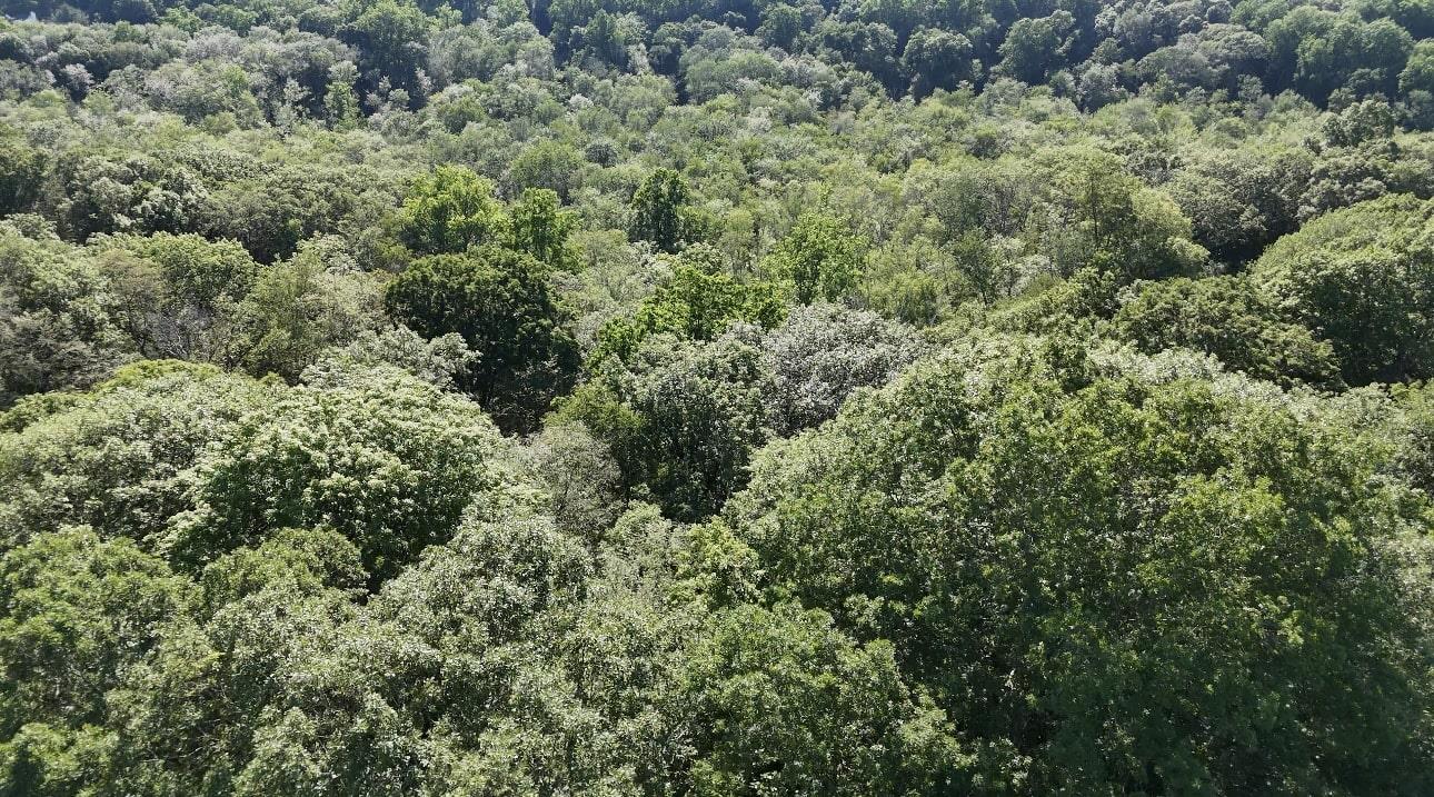 #5 photo, 9 Sun Hill Road, Somers , NY 10536