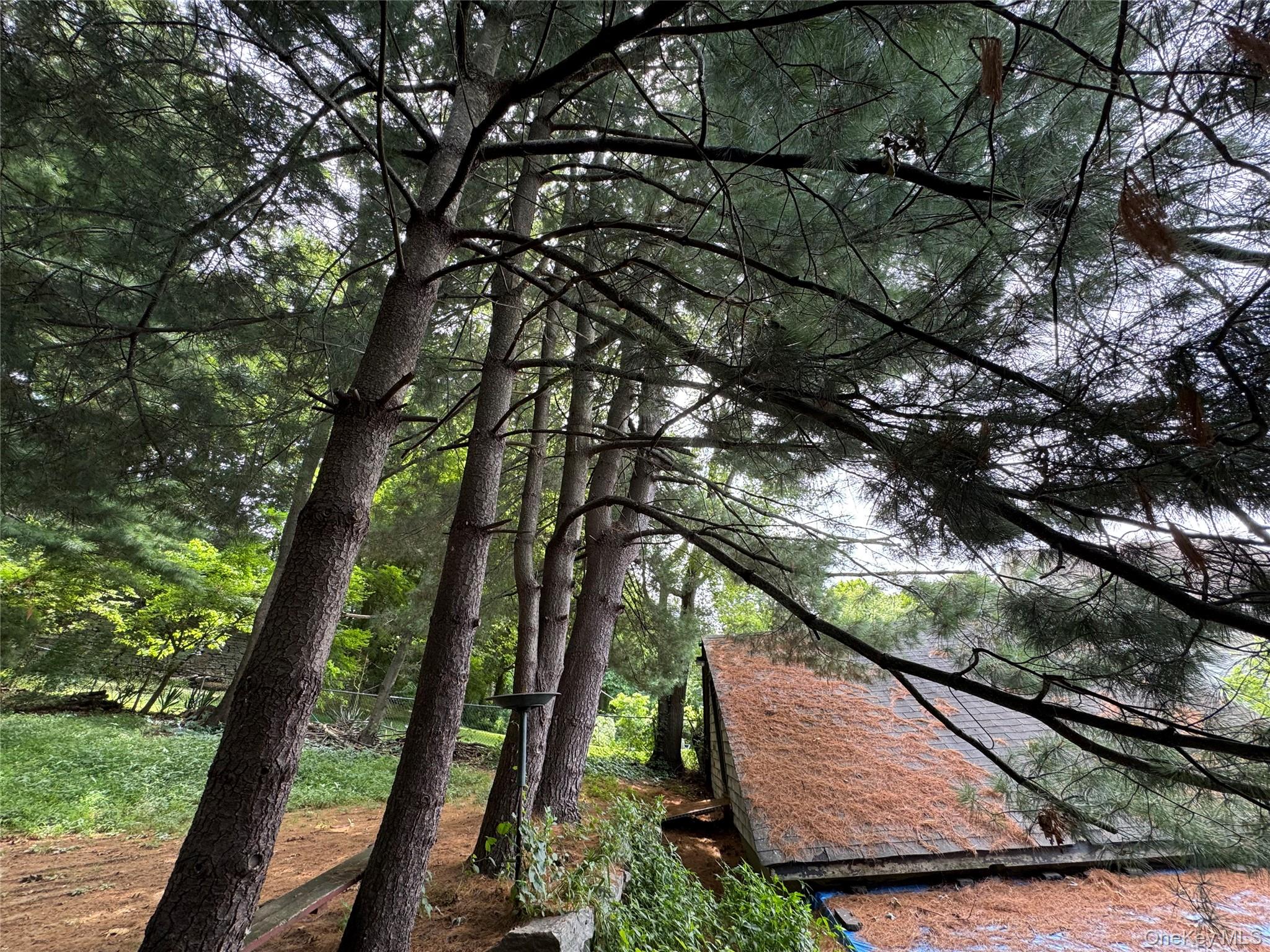 #9 photo, 350 Warburton Avenue, Hastings-on-Hudson , NY 10706