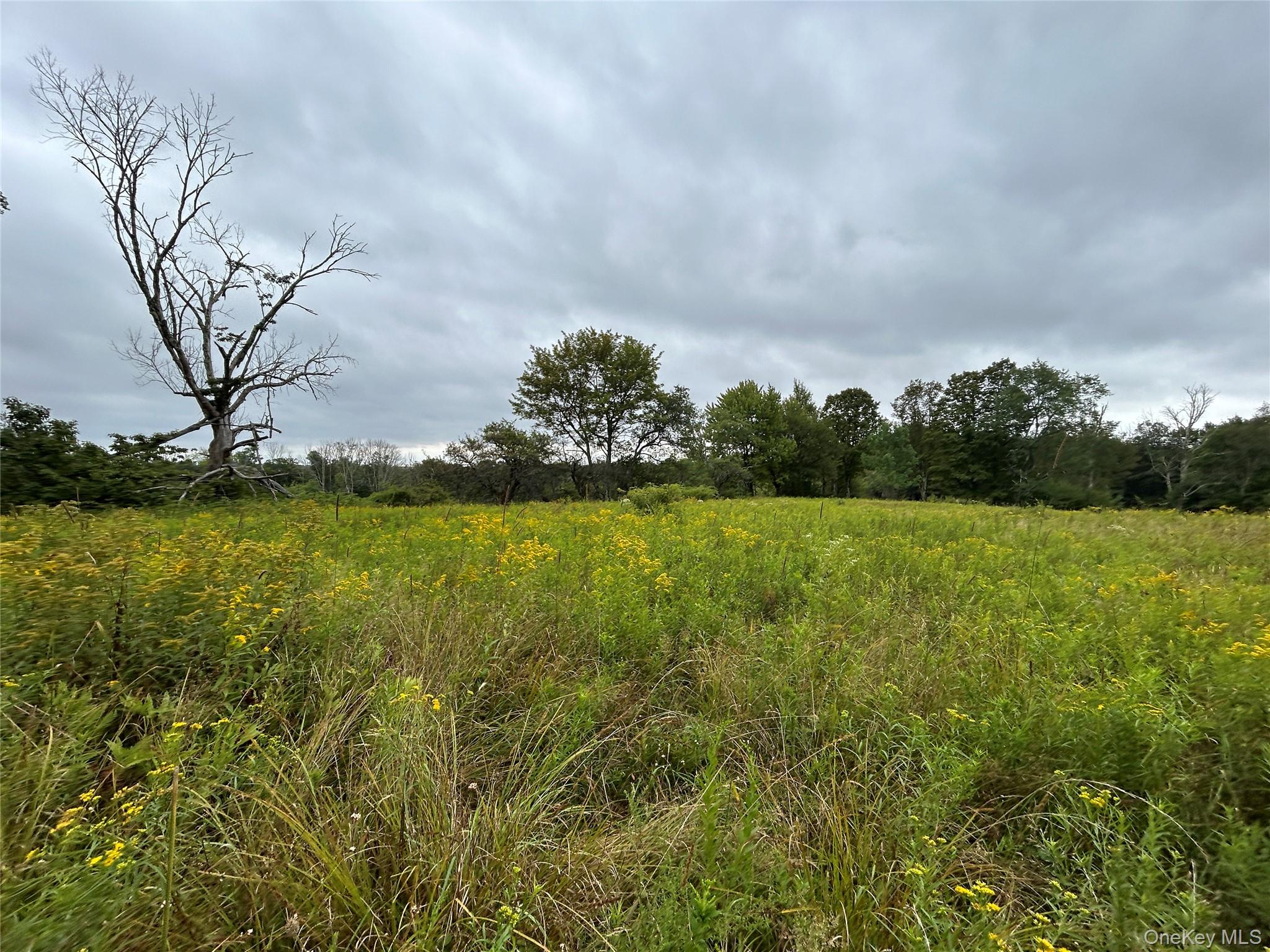 #17 photo, TBD Ahrens Road, Parksville , NY 12768