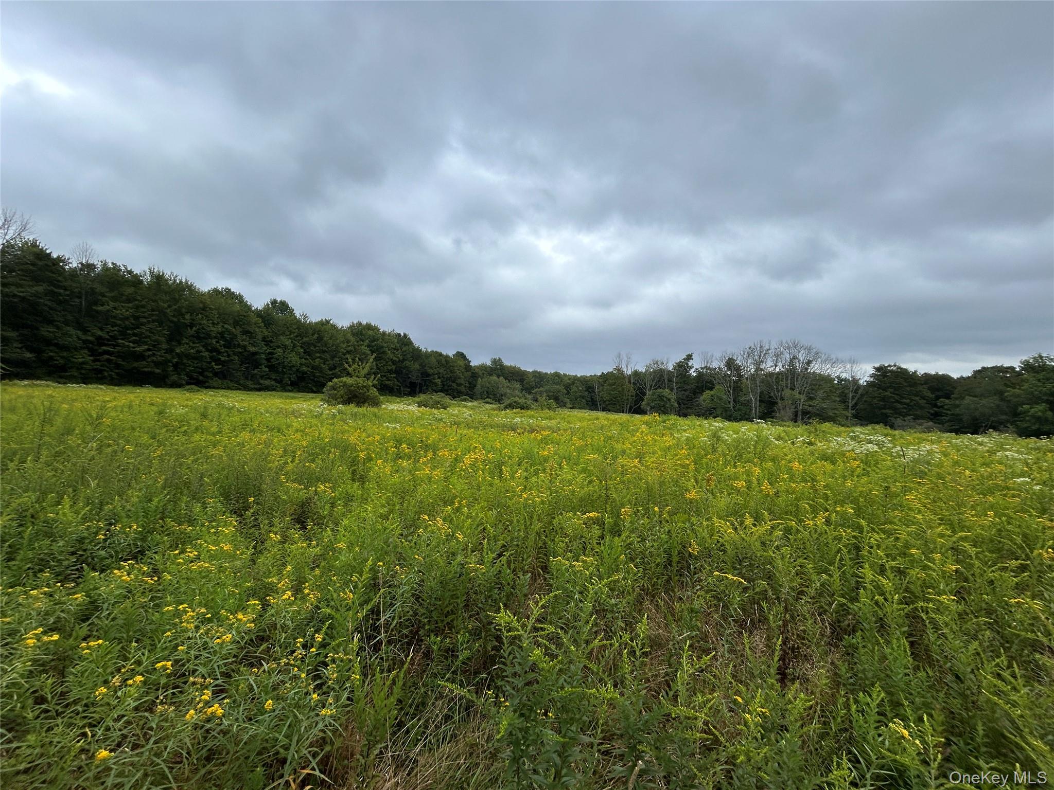 #18 photo, TBD Ahrens Road, Parksville , NY 12768