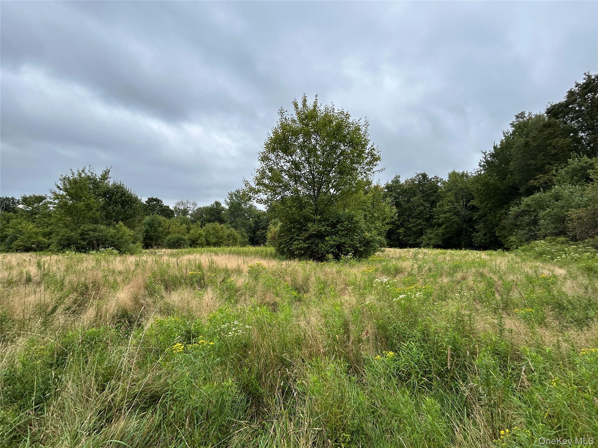 #19 photo, TBD Ahrens Road, Parksville , NY 12768