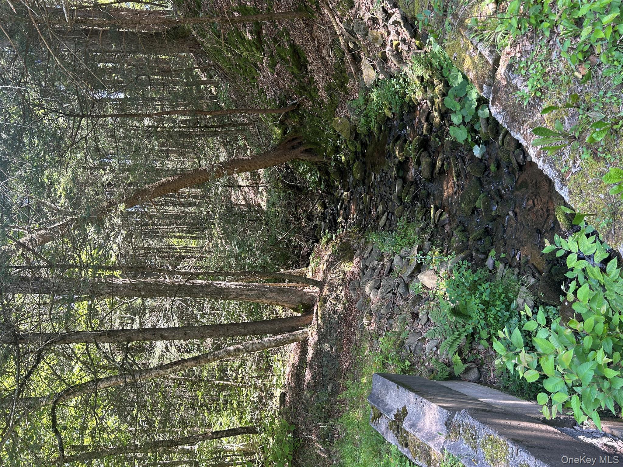 #2 photo, TBD Ahrens Road, Parksville , NY 12768