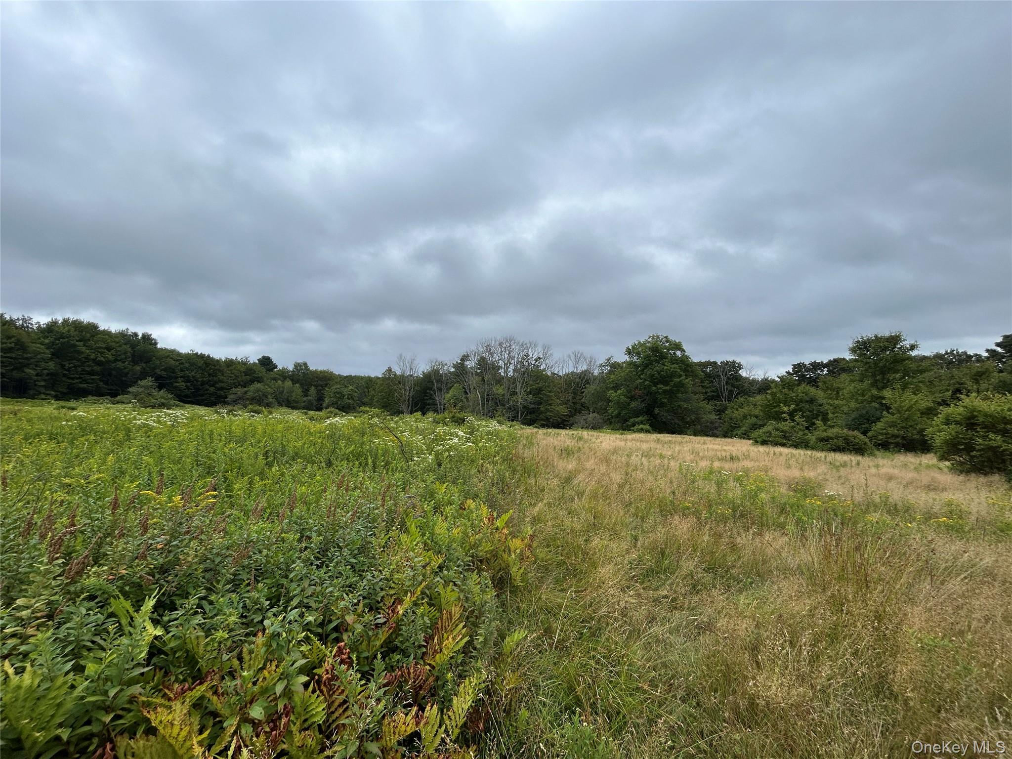 #20 photo, TBD Ahrens Road, Parksville , NY 12768