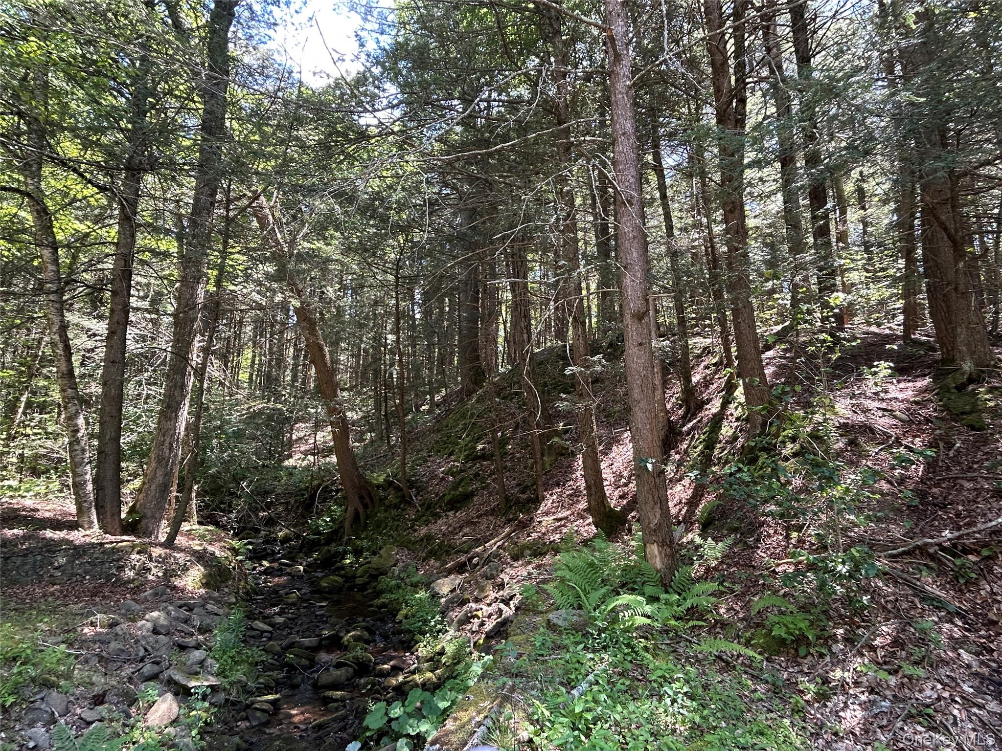 #3 photo, TBD Ahrens Road, Parksville , NY 12768