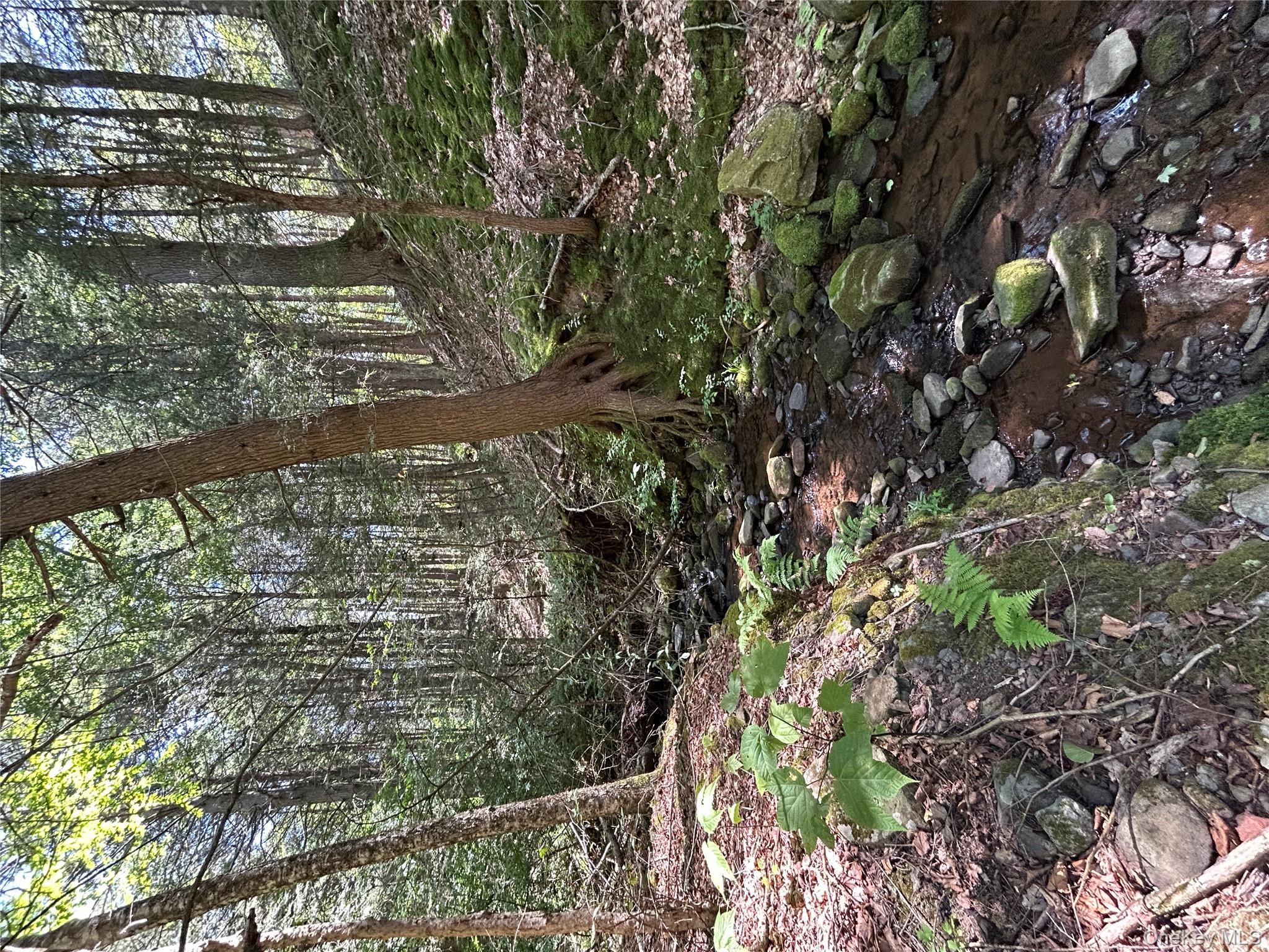 #4 photo, TBD Ahrens Road, Parksville , NY 12768