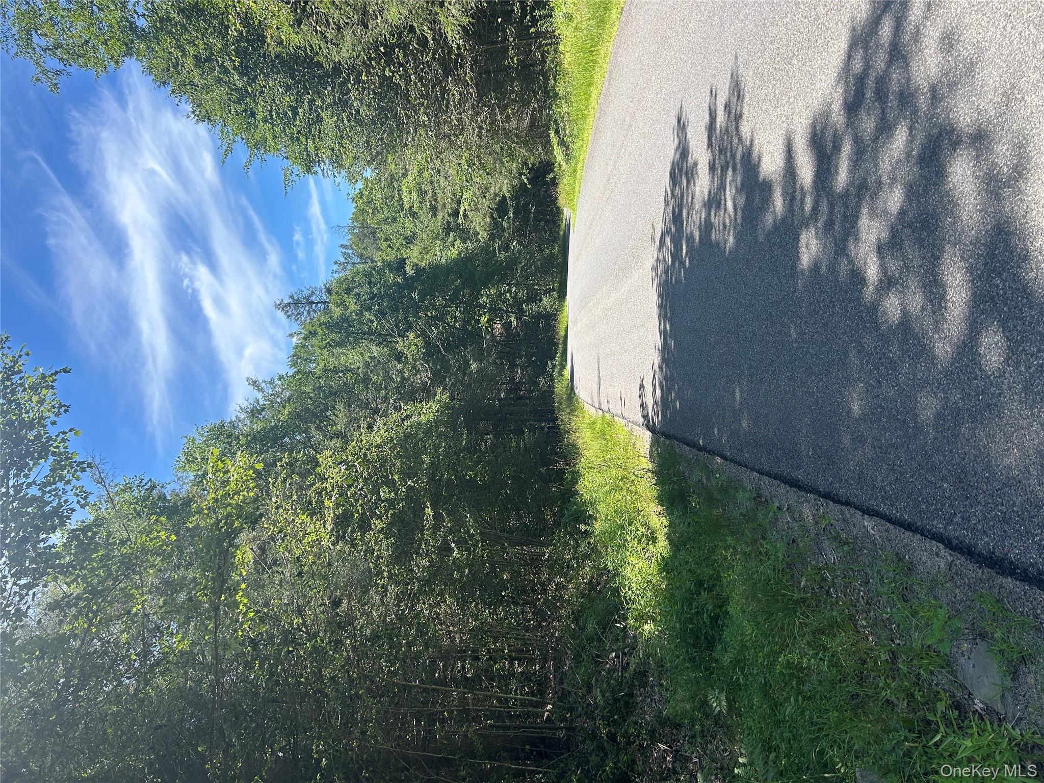 #5 photo, TBD Ahrens Road, Parksville , NY 12768