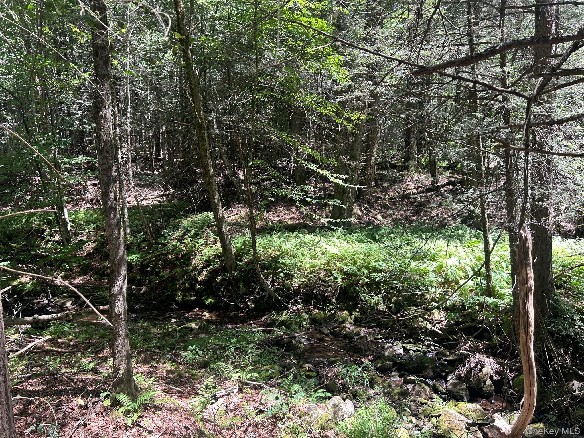 #6 photo, TBD Ahrens Road, Parksville , NY 12768