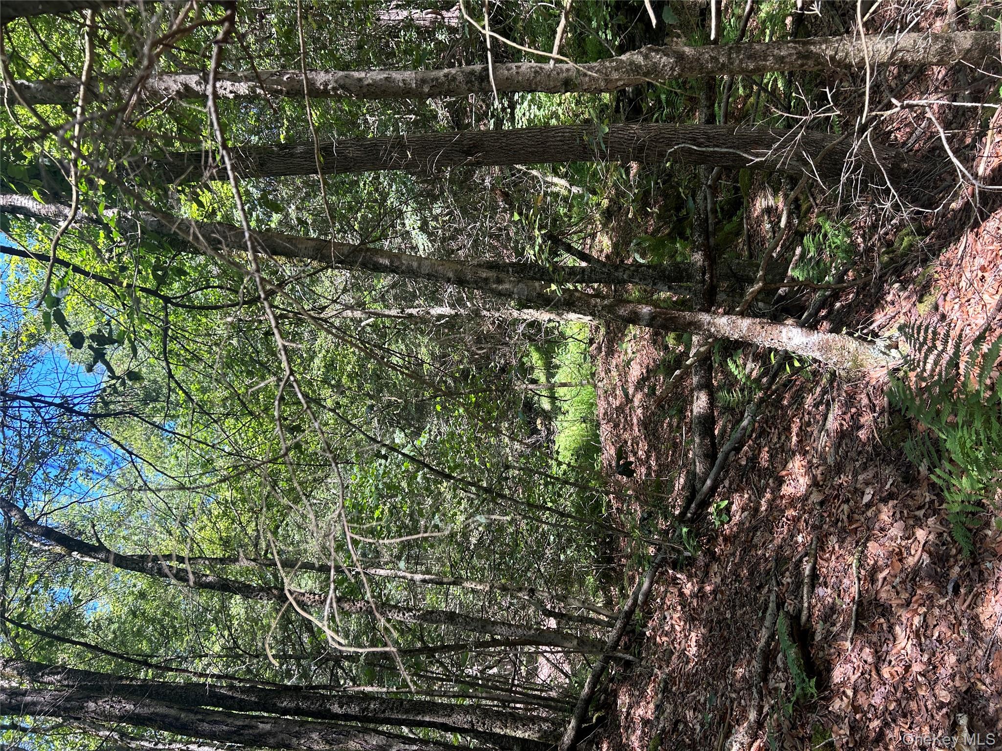 #7 photo, TBD Ahrens Road, Parksville , NY 12768