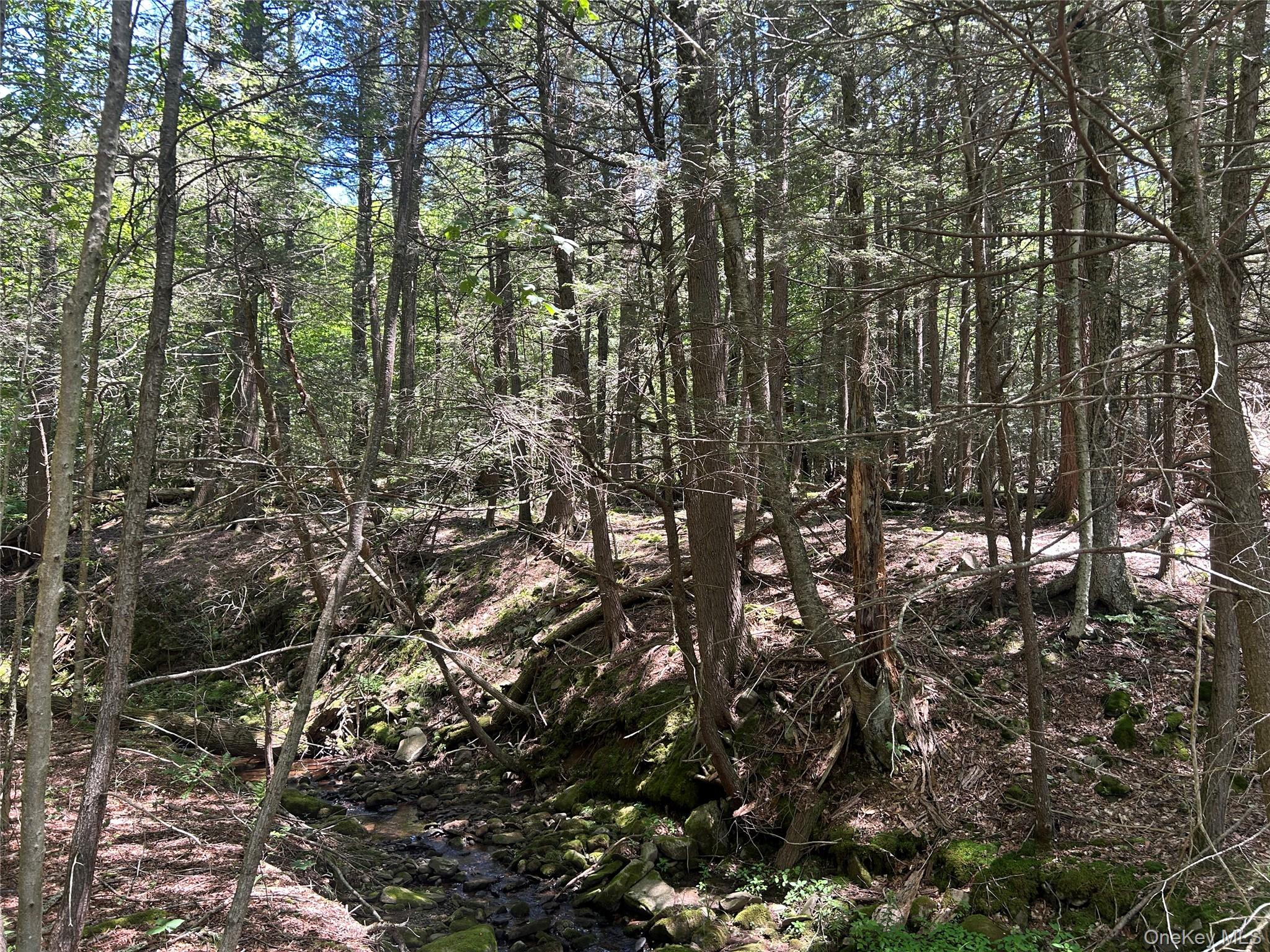 #8 photo, TBD Ahrens Road, Parksville , NY 12768