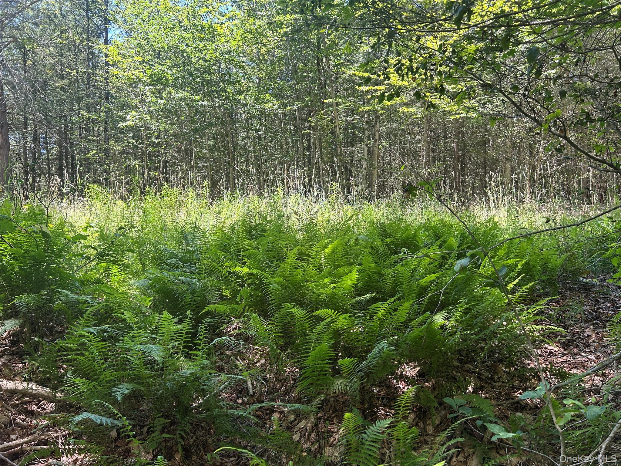 #9 photo, TBD Ahrens Road, Parksville , NY 12768