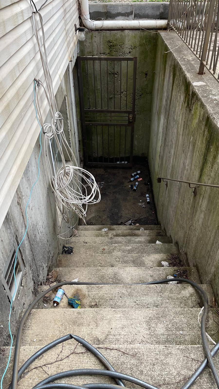 #11 photo, 184 Milford St, ブルックリン区 Brooklyn , NY 11208