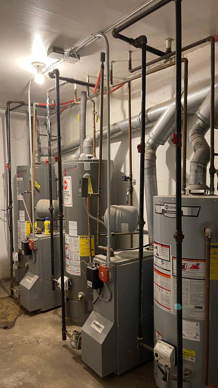 #12 photo, 184 Milford St, ブルックリン区 Brooklyn , NY 11208